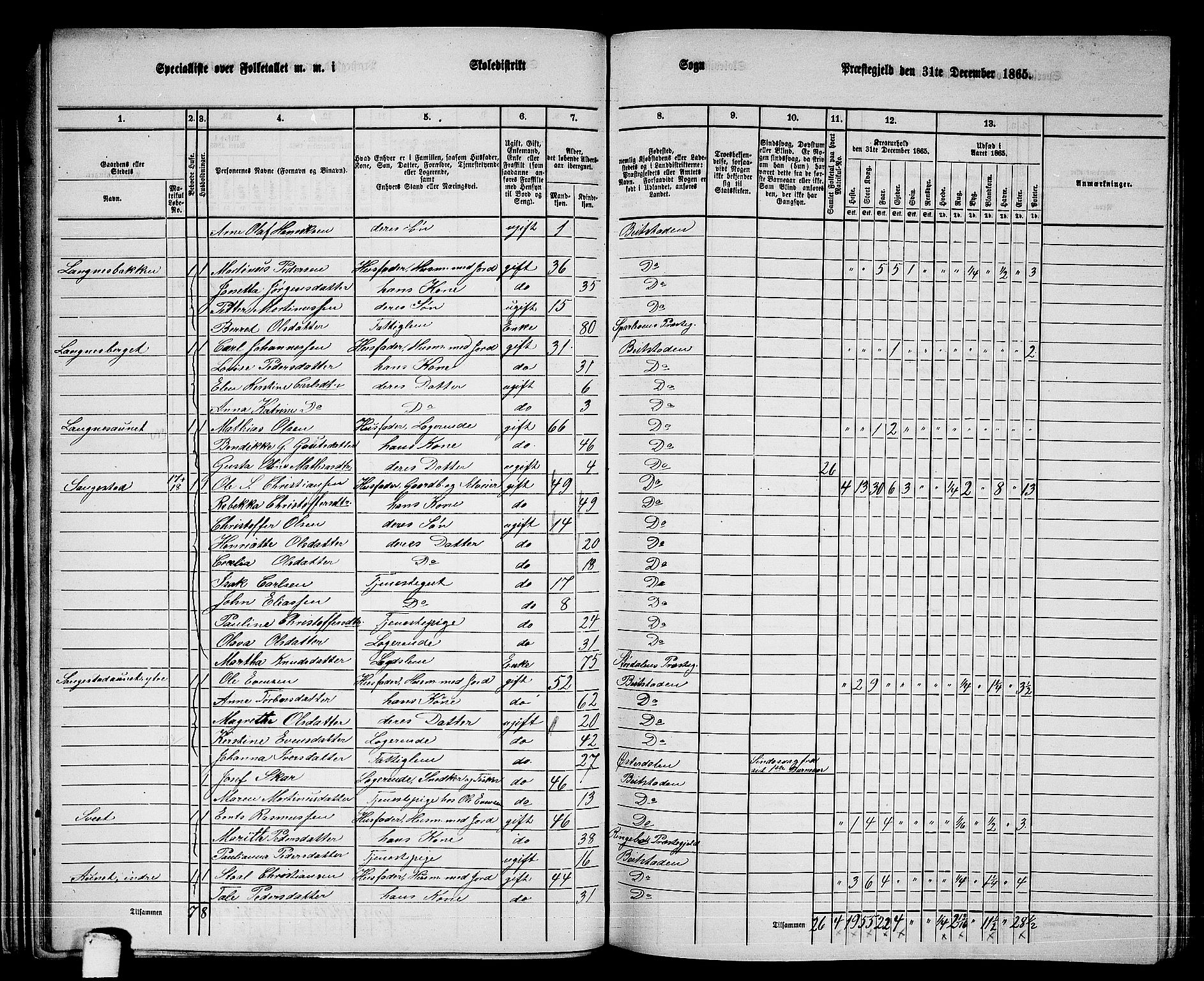 RA, 1865 census for Beitstad, 1865, p. 41