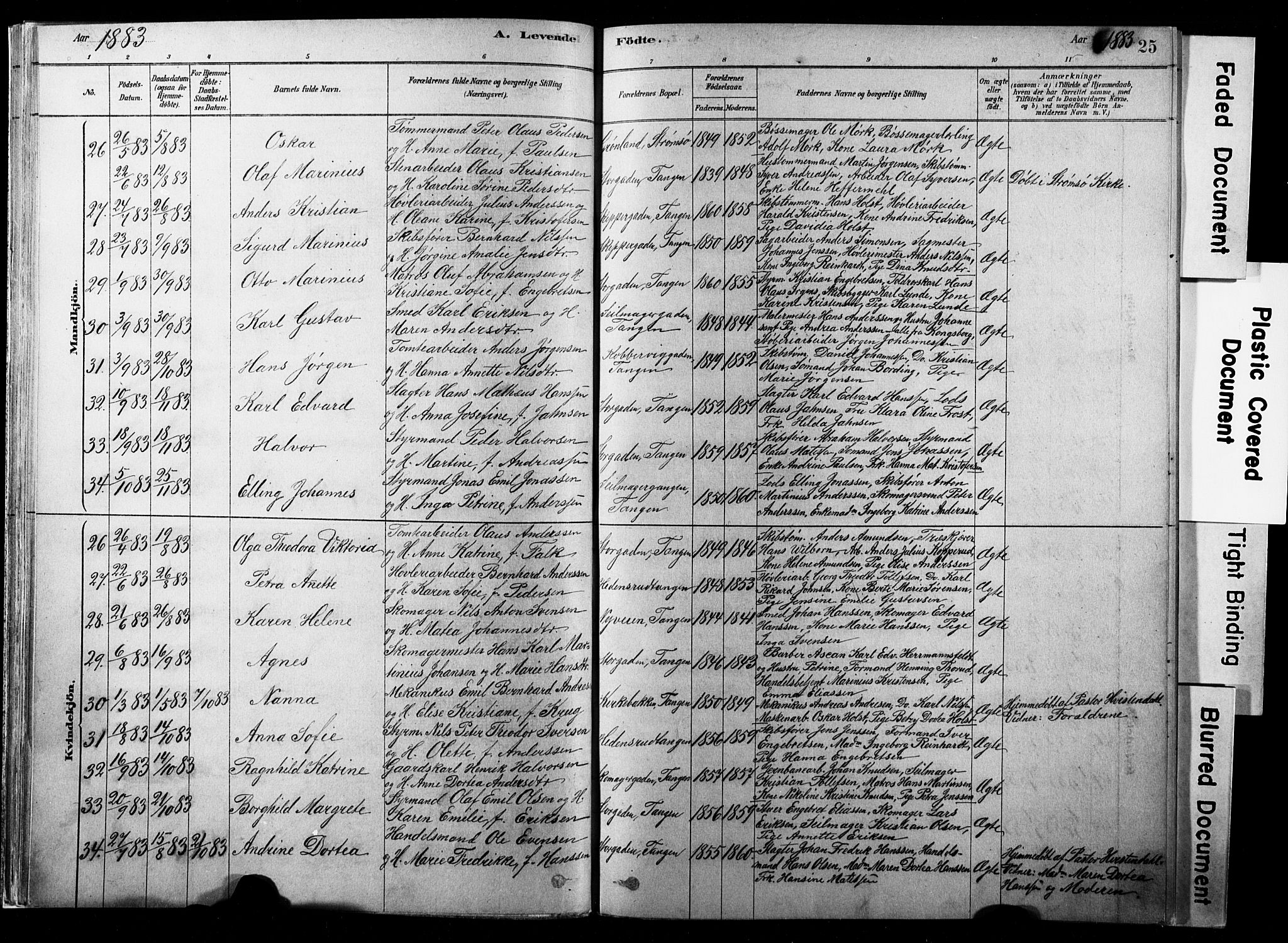 Strømsø kirkebøker, SAKO/A-246/F/Fb/L0006: Parish register (official) no. II 6, 1879-1910, p. 25
