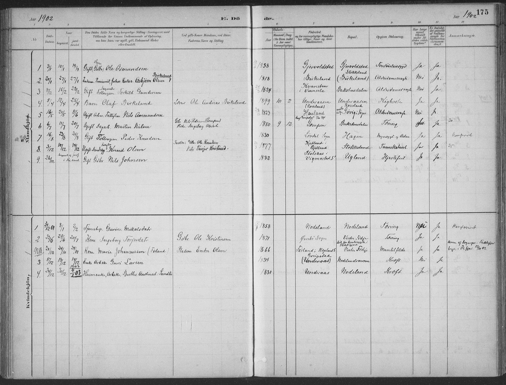 Søgne sokneprestkontor, SAK/1111-0037/F/Fa/Faa/L0003: Parish register (official) no. A 3, 1883-1910, p. 175