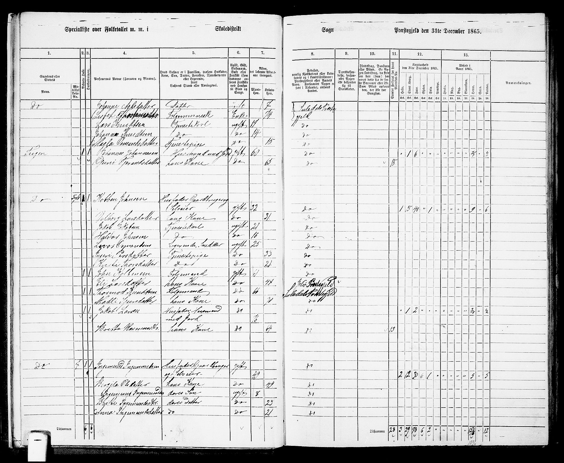RA, 1865 census for Suldal, 1865, p. 14