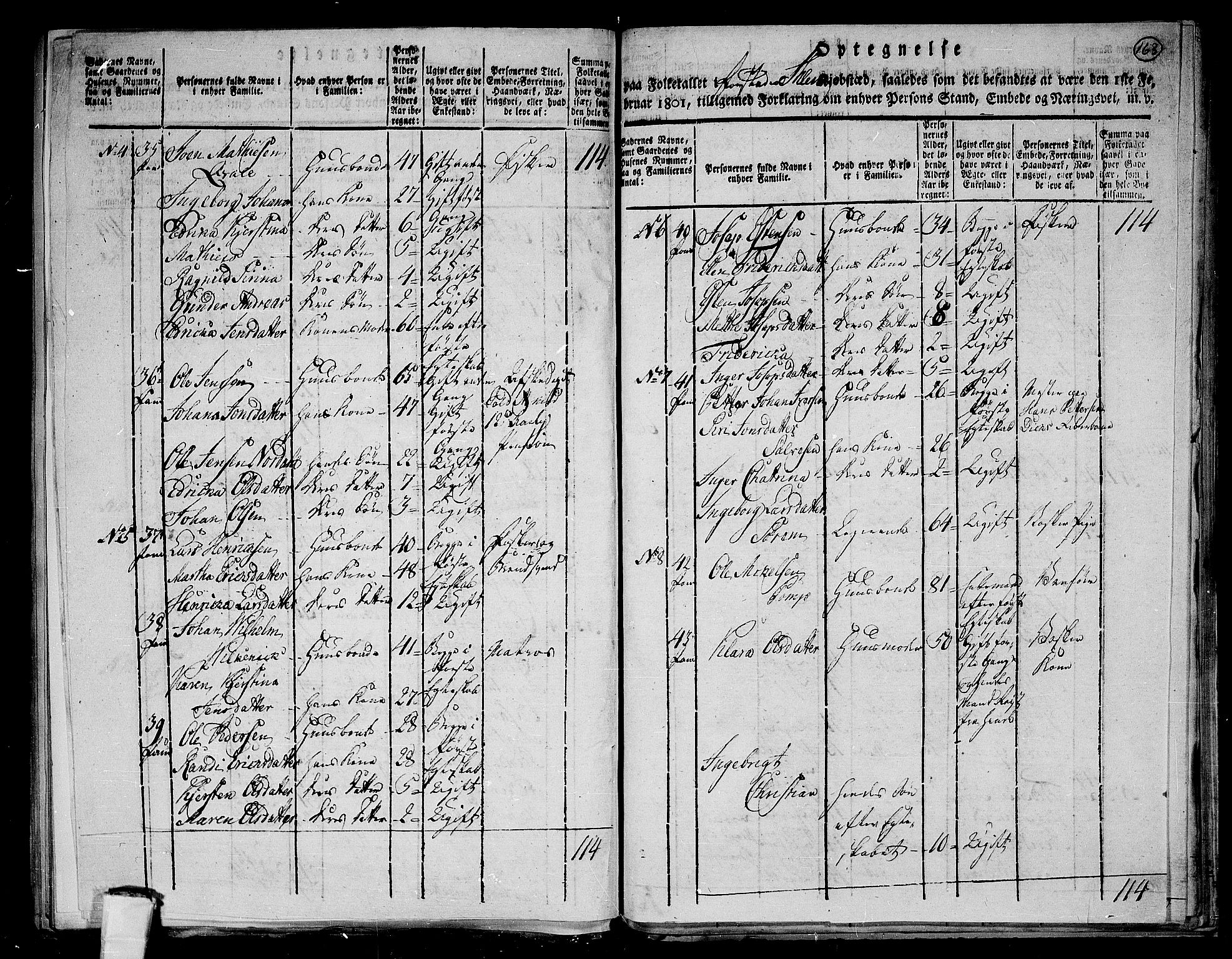 RA, 1801 census for 1601 Trondheim, 1801, p. 162b-163a