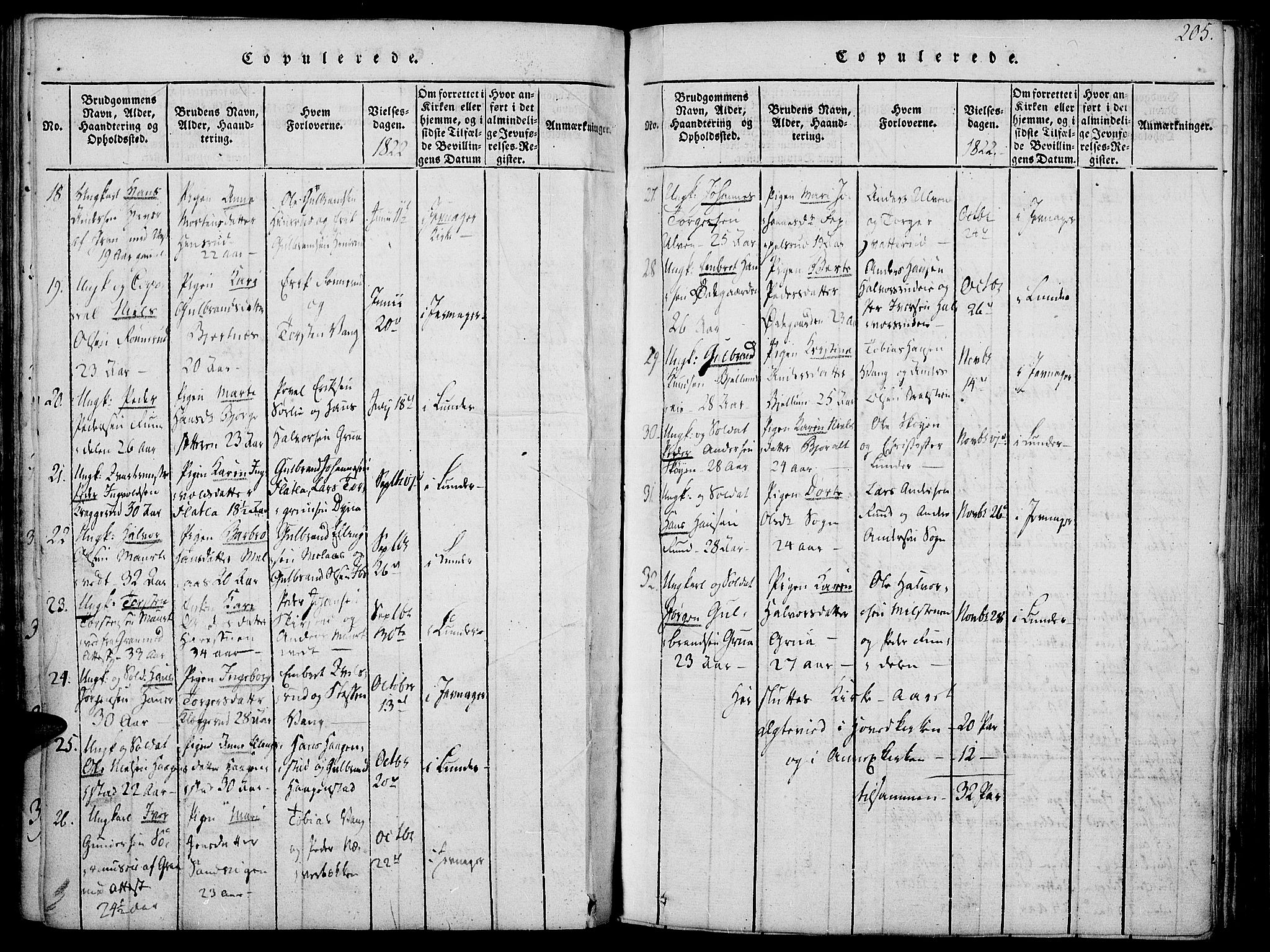 Jevnaker prestekontor, SAH/PREST-116/H/Ha/Haa/L0005: Parish register (official) no. 5, 1815-1837, p. 205