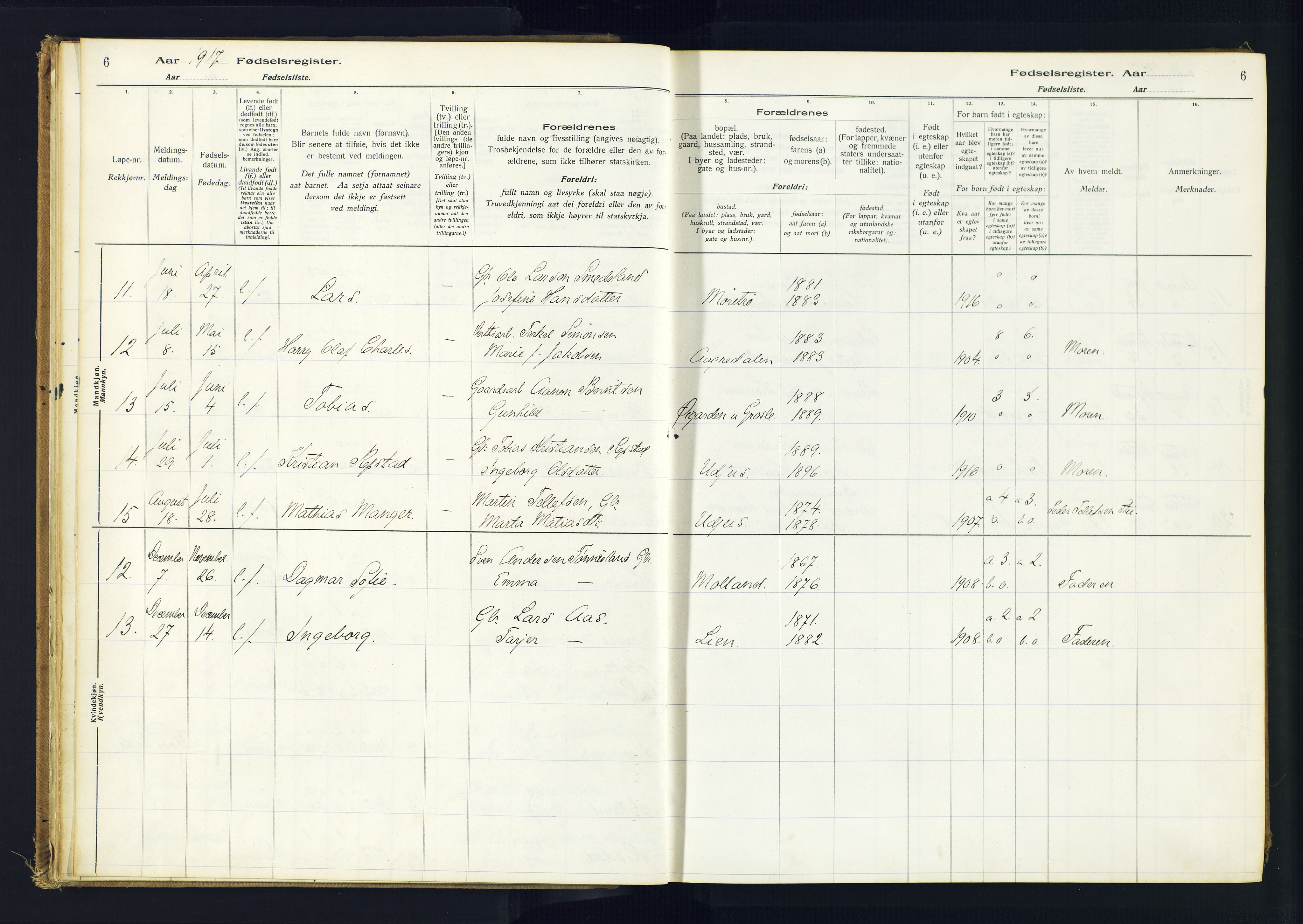 Hommedal sokneprestkontor, AV/SAK-1111-0023/J/Jd/L0001: Birth register no. 1, 1916-1962, p. 6