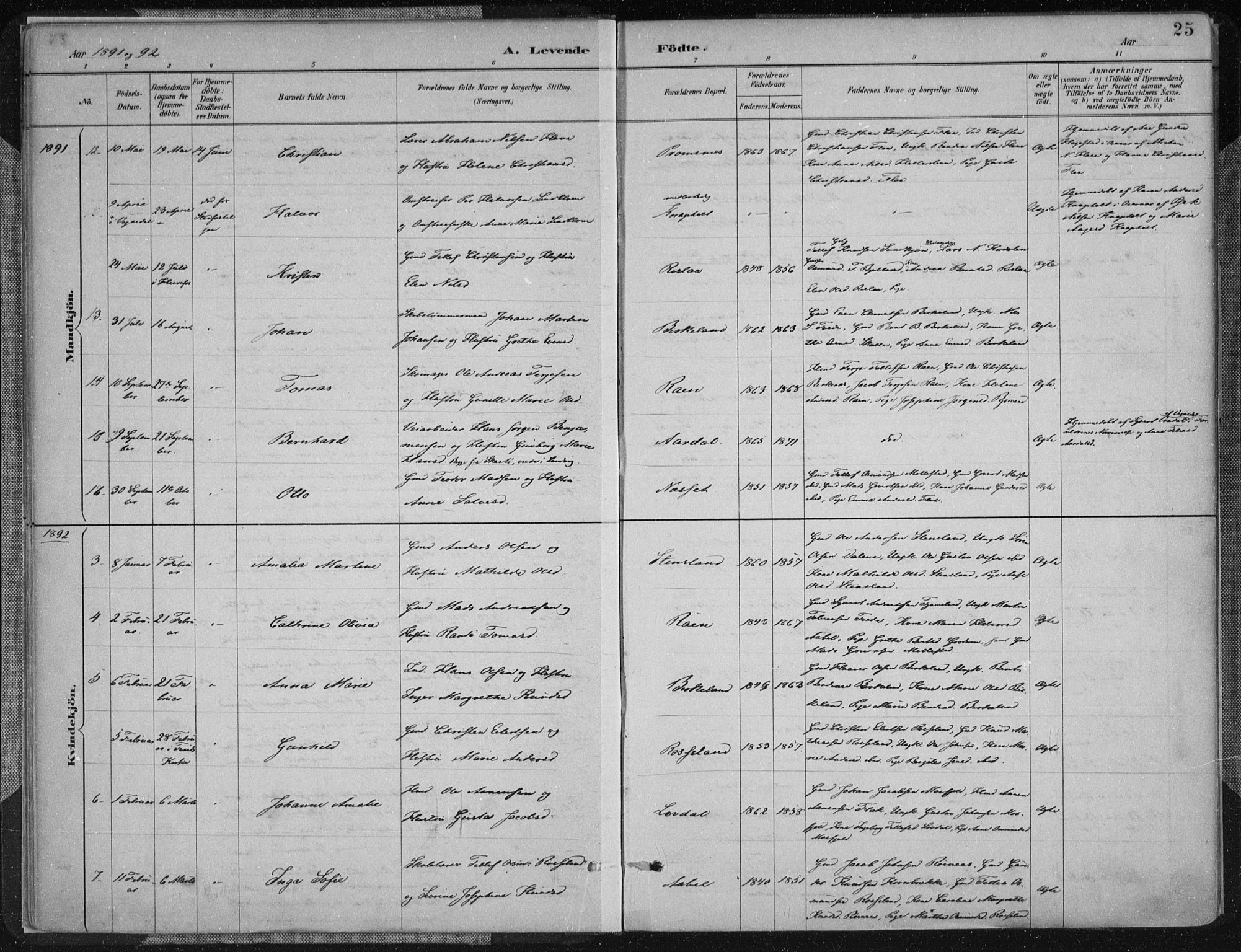 Birkenes sokneprestkontor, AV/SAK-1111-0004/F/Fa/L0005: Parish register (official) no. A 5, 1887-1907, p. 25