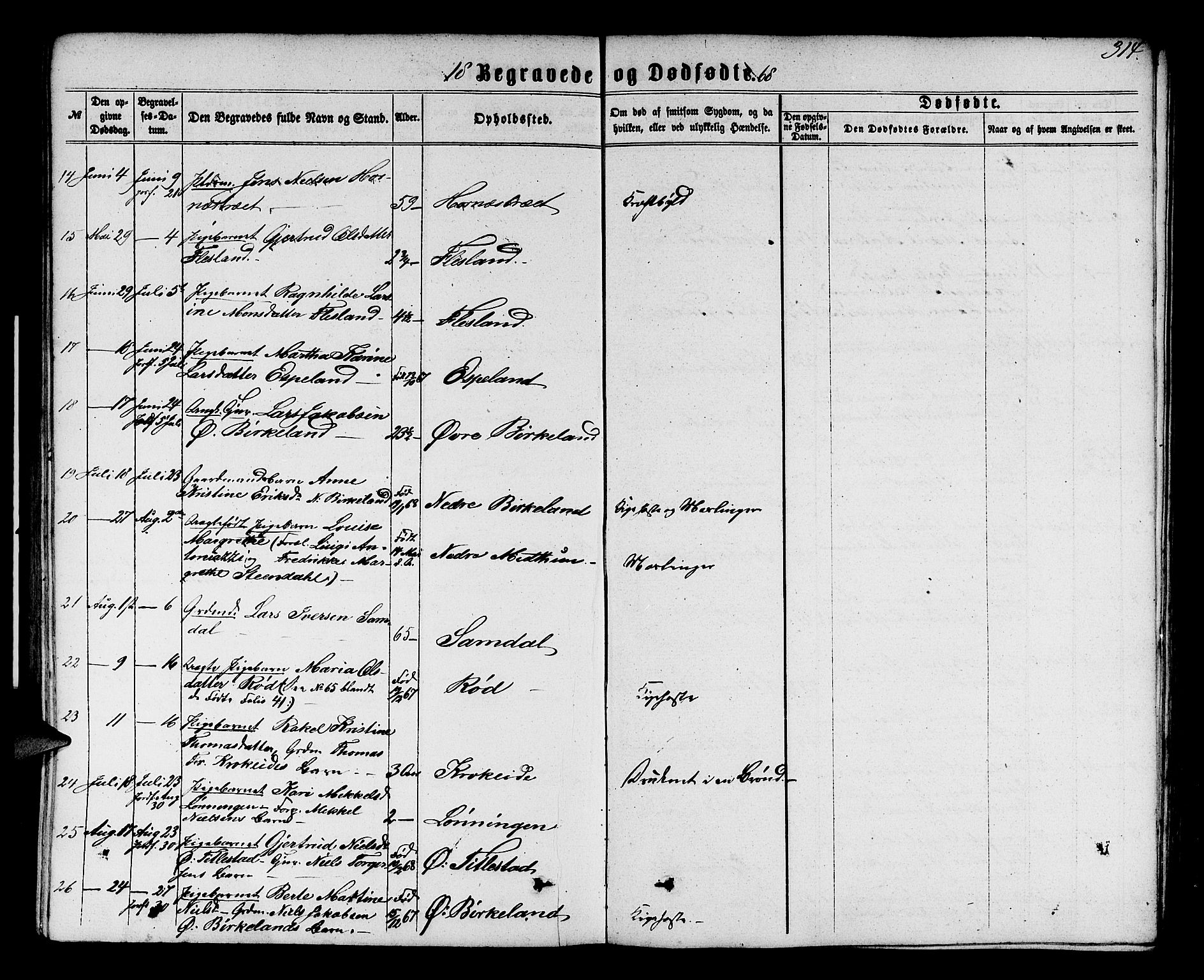 Fana Sokneprestembete, SAB/A-75101/H/Hab/Habb/L0003: Parish register (copy) no. B 3, 1861-1888, p. 314