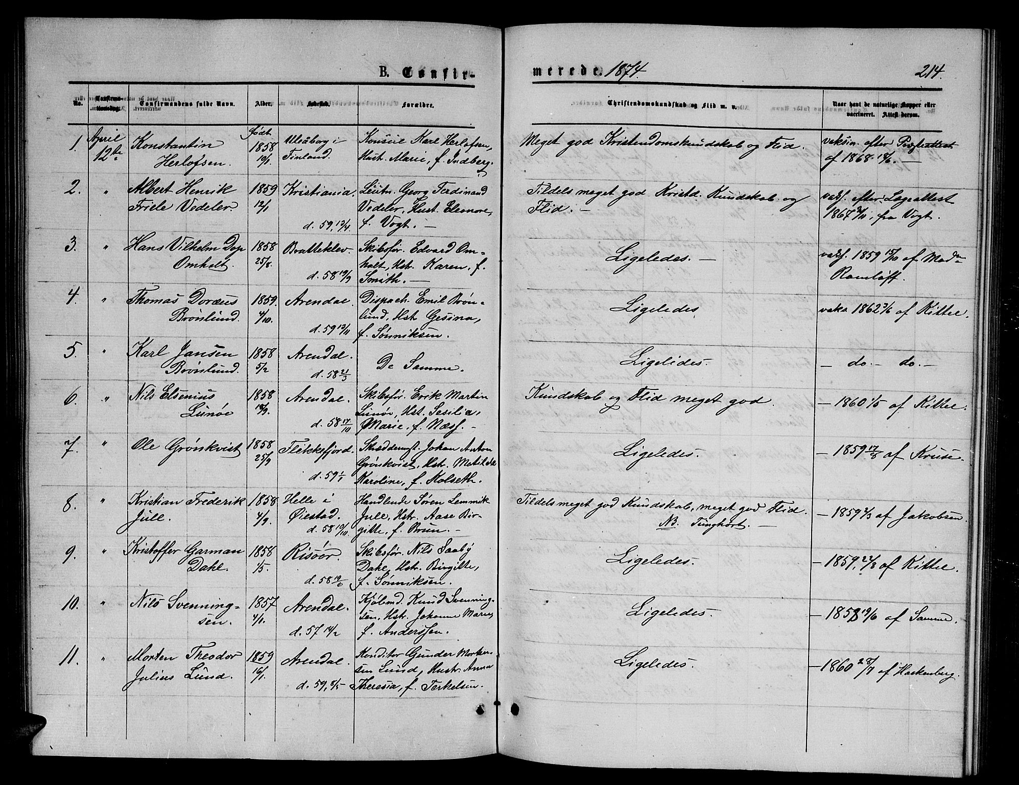 Arendal sokneprestkontor, Trefoldighet, SAK/1111-0040/F/Fb/L0005: Parish register (copy) no. B 5, 1874-1888, p. 214