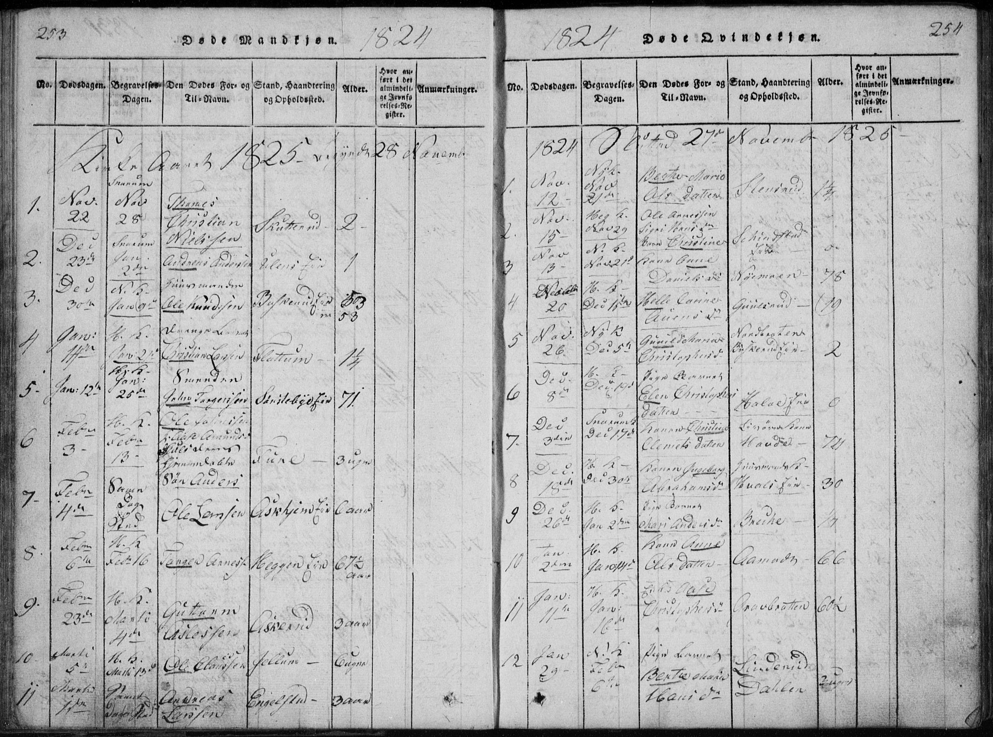 Modum kirkebøker, SAKO/A-234/G/Ga/L0002: Parish register (copy) no. I 2, 1824-1832, p. 253-254