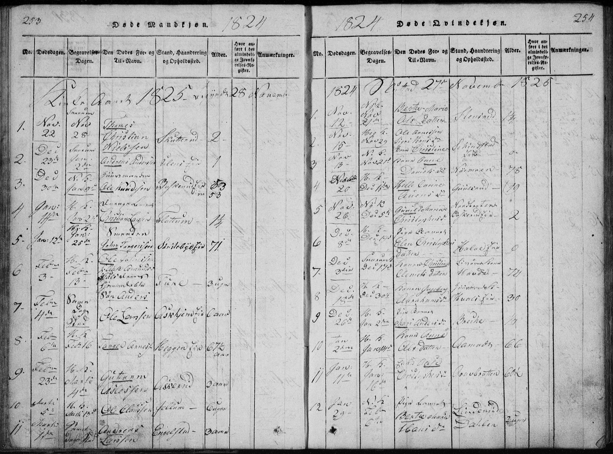 Modum kirkebøker, AV/SAKO-A-234/G/Ga/L0002: Parish register (copy) no. I 2, 1824-1832, p. 253-254