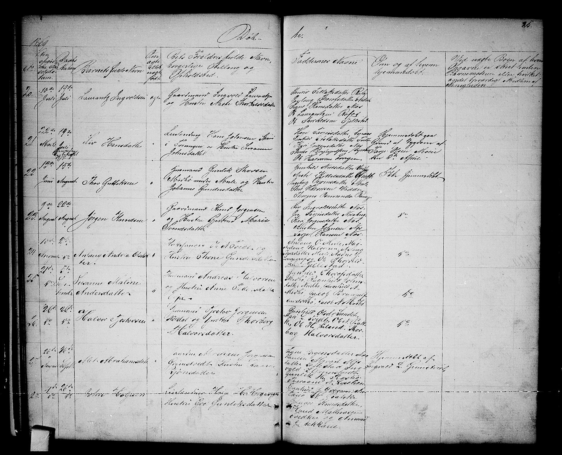 Nissedal kirkebøker, SAKO/A-288/G/Ga/L0002: Parish register (copy) no. I 2, 1861-1887, p. 25