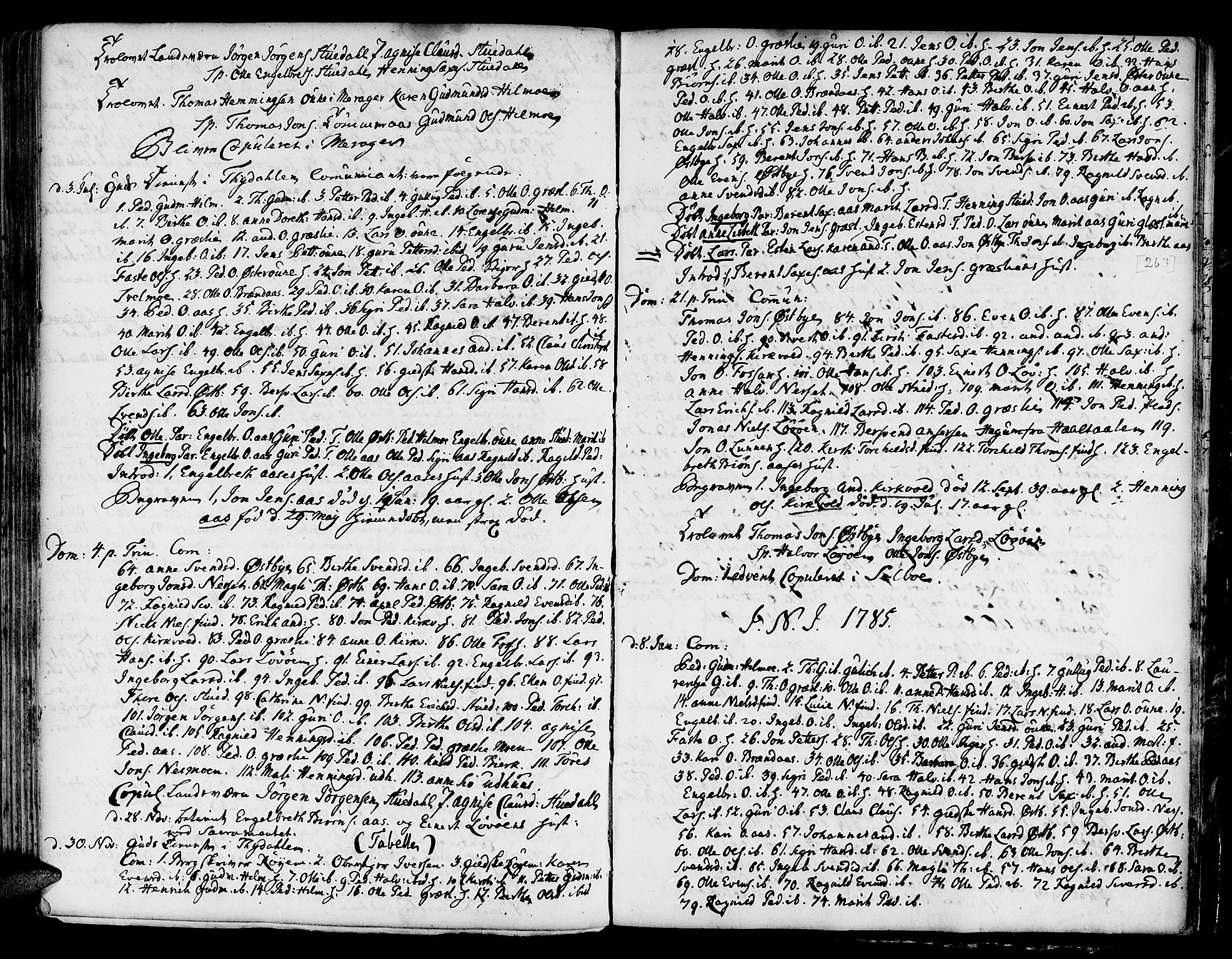 Ministerialprotokoller, klokkerbøker og fødselsregistre - Sør-Trøndelag, SAT/A-1456/695/L1139: Parish register (official) no. 695A02 /2, 1776-1790, p. 263