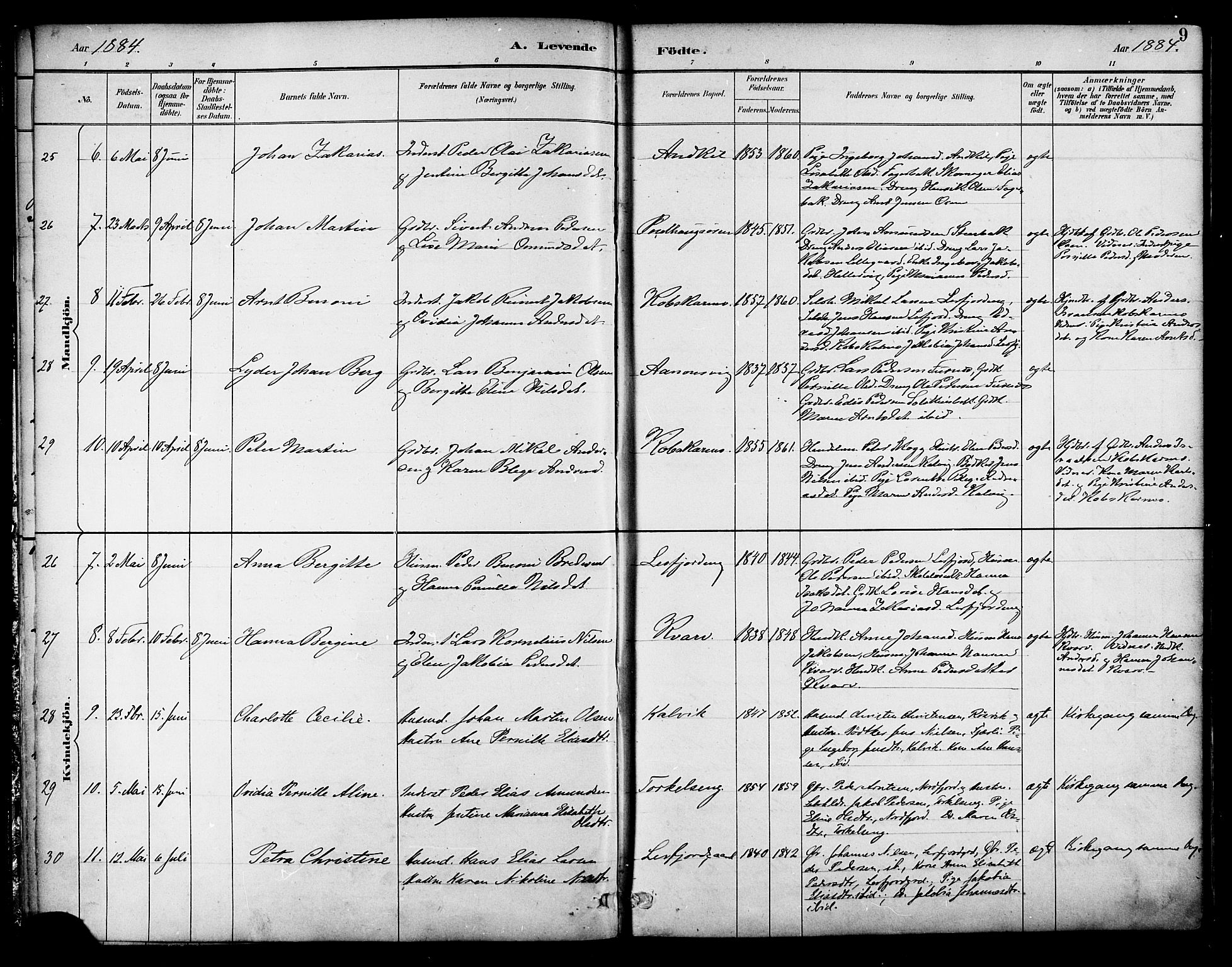 Ministerialprotokoller, klokkerbøker og fødselsregistre - Nordland, SAT/A-1459/854/L0777: Parish register (official) no. 854A01 /1, 1883-1891, p. 9