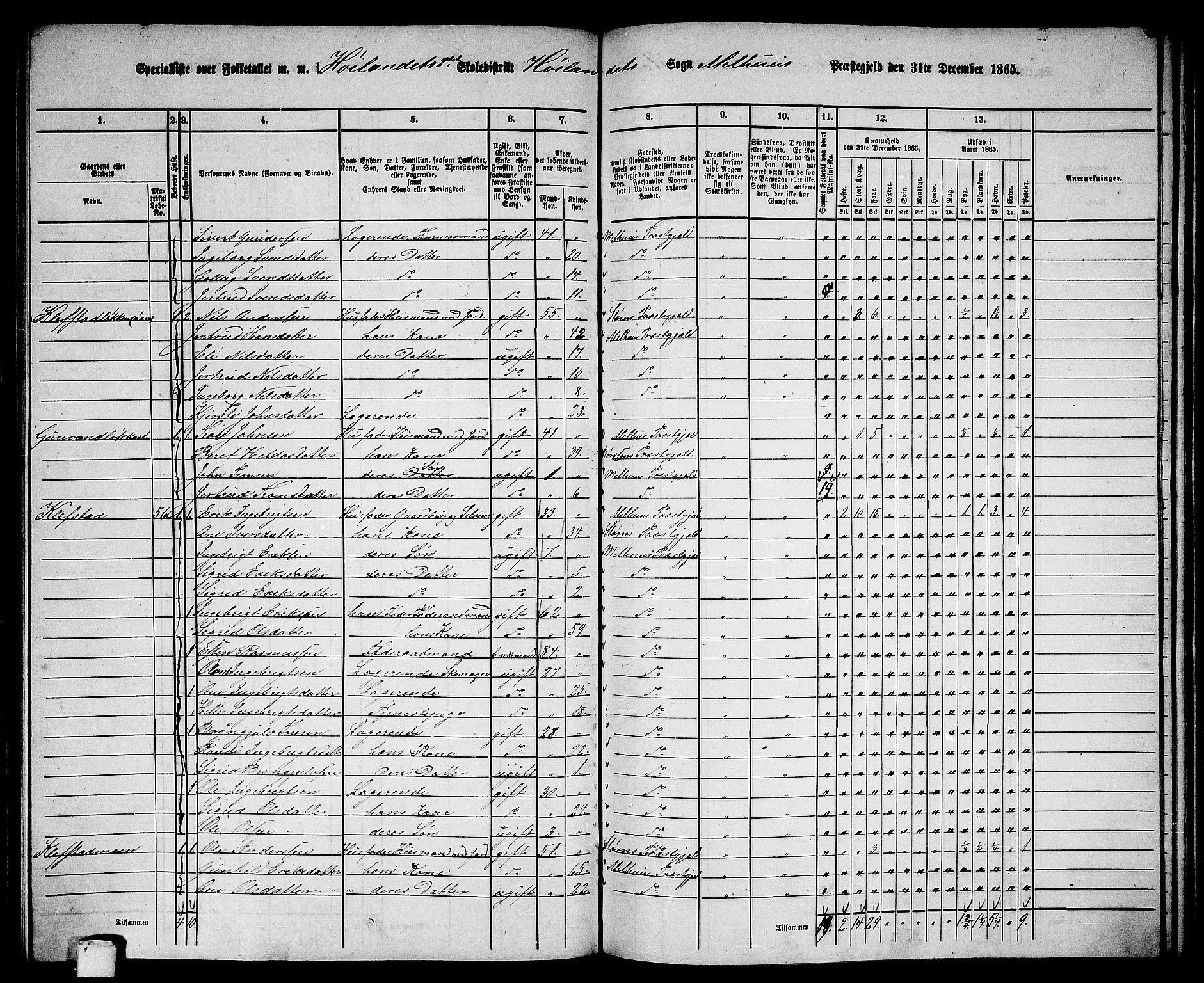 RA, 1865 census for Melhus, 1865, p. 182