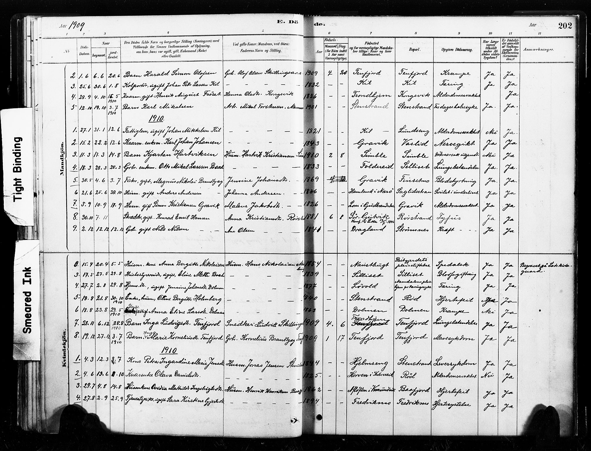 Ministerialprotokoller, klokkerbøker og fødselsregistre - Nord-Trøndelag, AV/SAT-A-1458/789/L0705: Parish register (official) no. 789A01, 1878-1910, p. 202