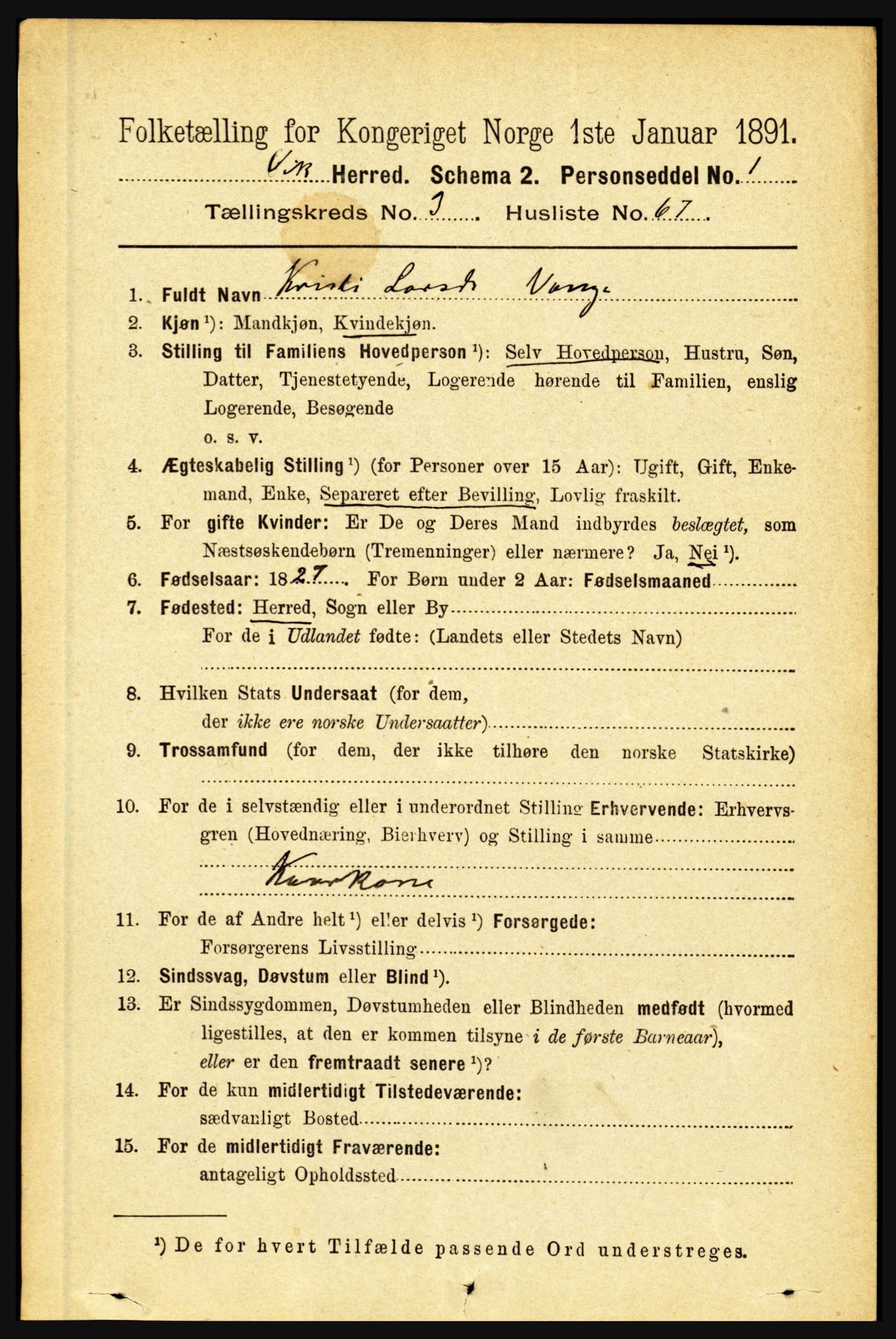 RA, 1891 census for 1417 Vik, 1891, p. 1673