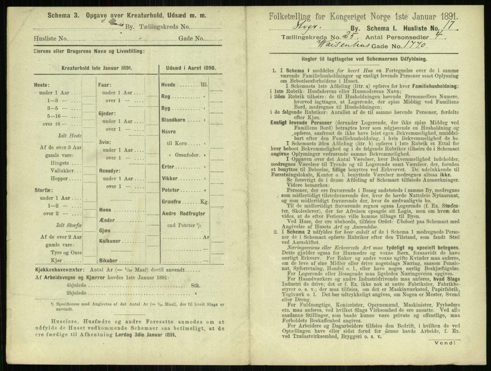 RA, 1891 census for 1103 Stavanger, 1891, p. 4819