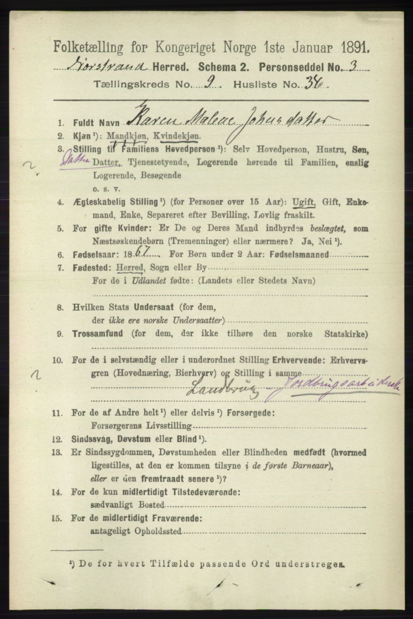 RA, 1891 census for 1139 Nedstrand, 1891, p. 1828