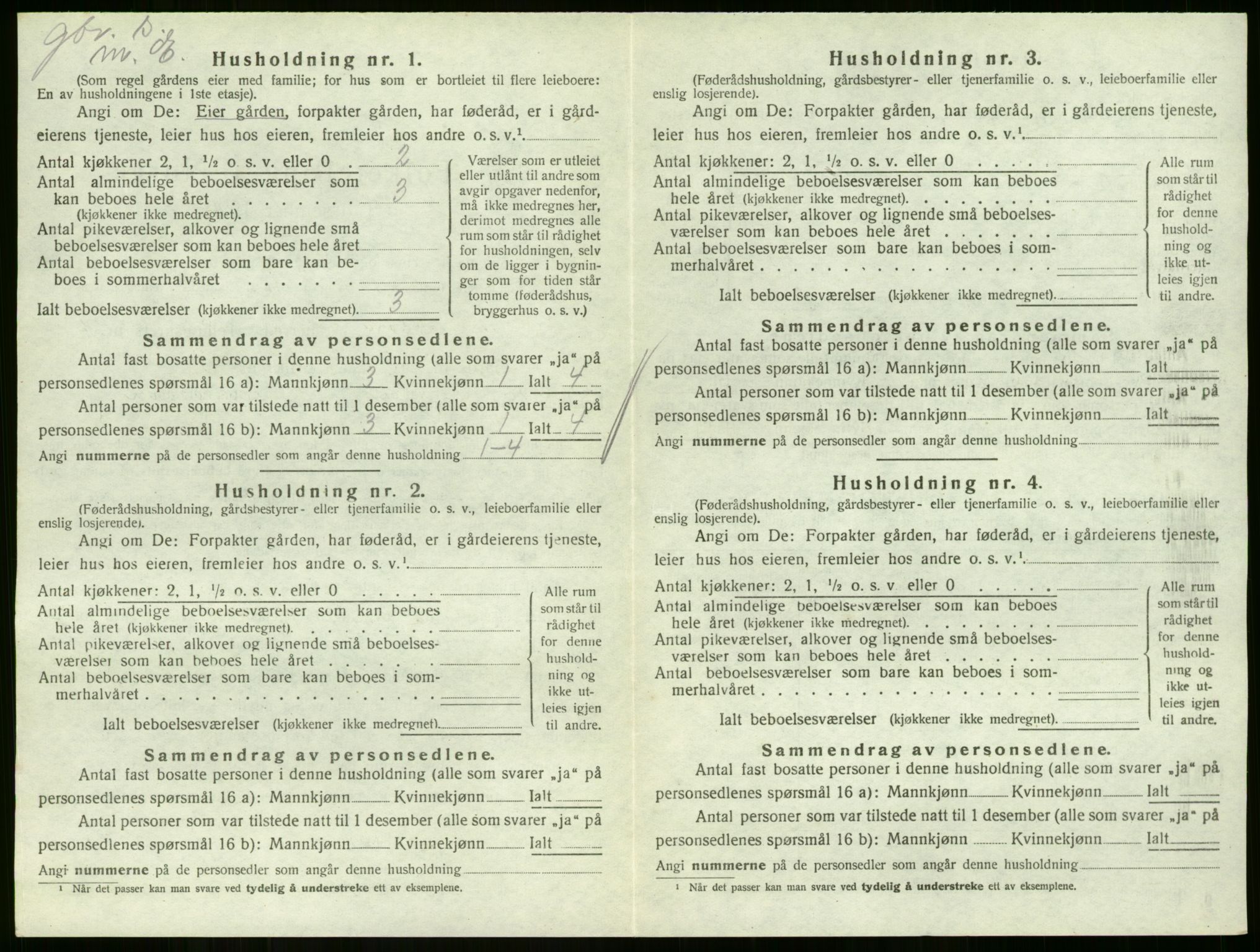 SAKO, 1920 census for Hof, 1920, p. 31