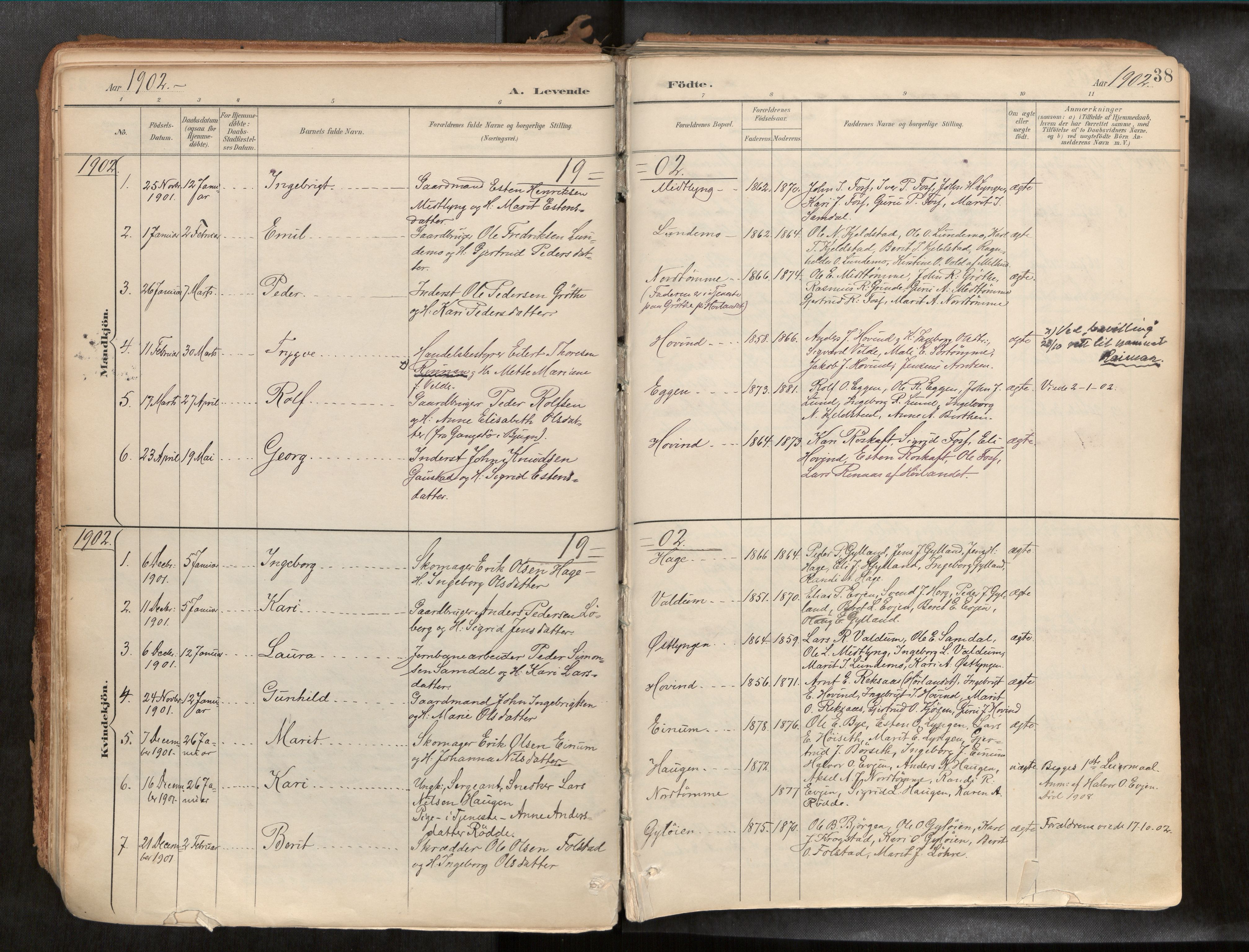 Ministerialprotokoller, klokkerbøker og fødselsregistre - Sør-Trøndelag, SAT/A-1456/692/L1105b: Parish register (official) no. 692A06, 1891-1934, p. 38