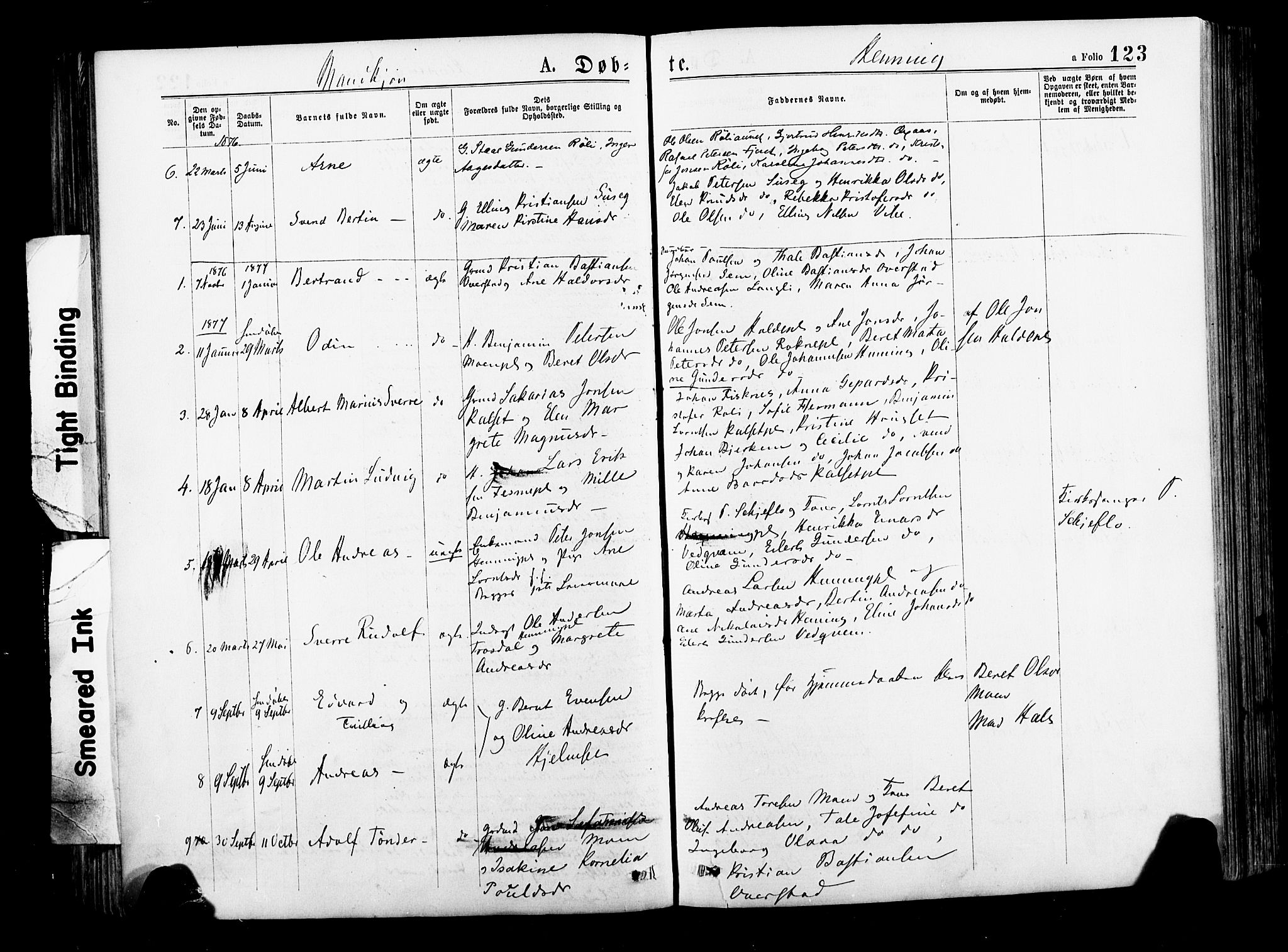 Ministerialprotokoller, klokkerbøker og fødselsregistre - Nord-Trøndelag, SAT/A-1458/735/L0348: Parish register (official) no. 735A09 /3, 1873-1883, p. 123