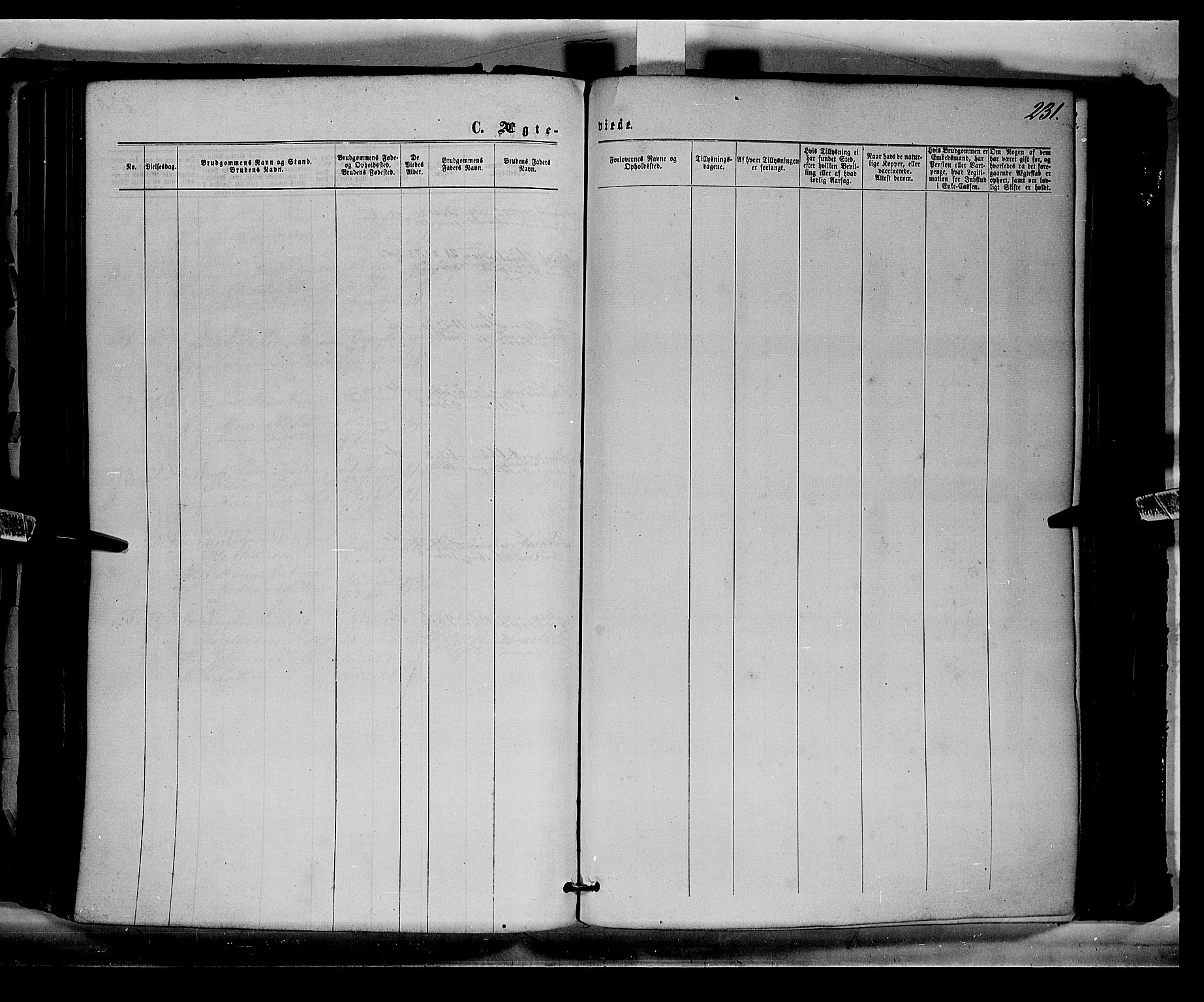 Eidskog prestekontor, AV/SAH-PREST-026/H/Ha/Haa/L0002: Parish register (official) no. 2, 1867-1878, p. 231