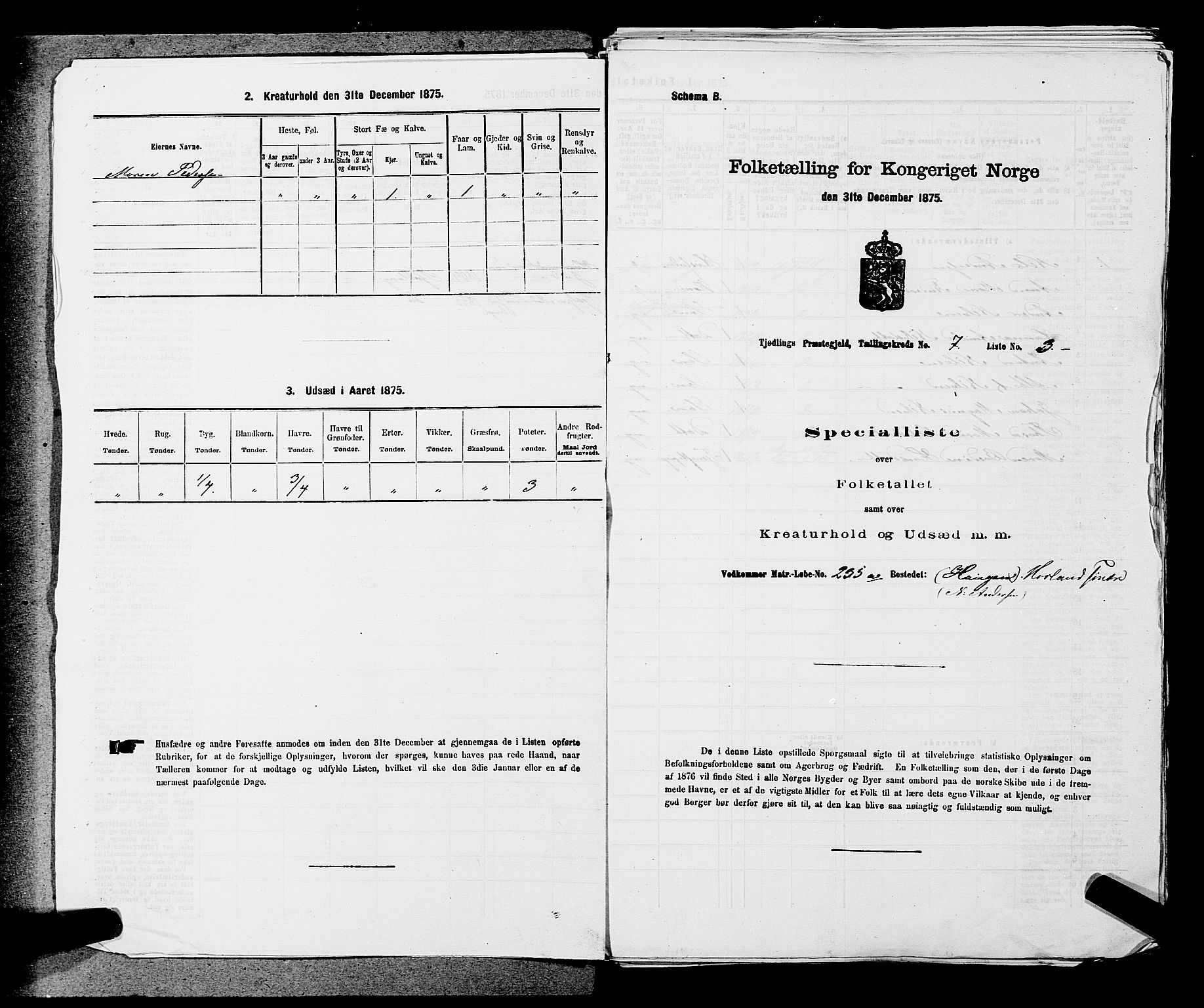 SAKO, 1875 census for 0725P Tjølling, 1875, p. 1247