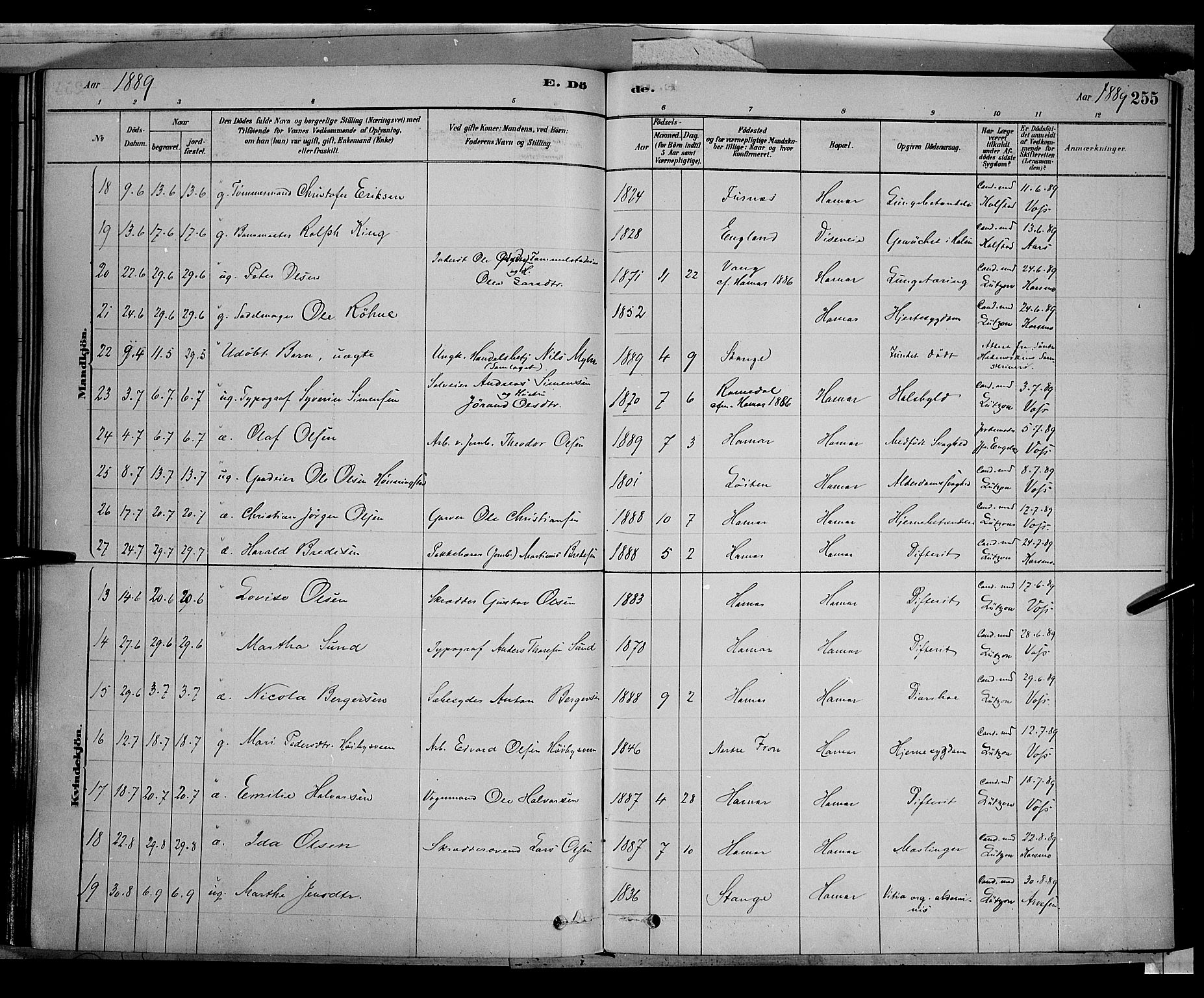 Vang prestekontor, Hedmark, AV/SAH-PREST-008/H/Ha/Haa/L0016: Parish register (official) no. 16, 1878-1889, p. 255