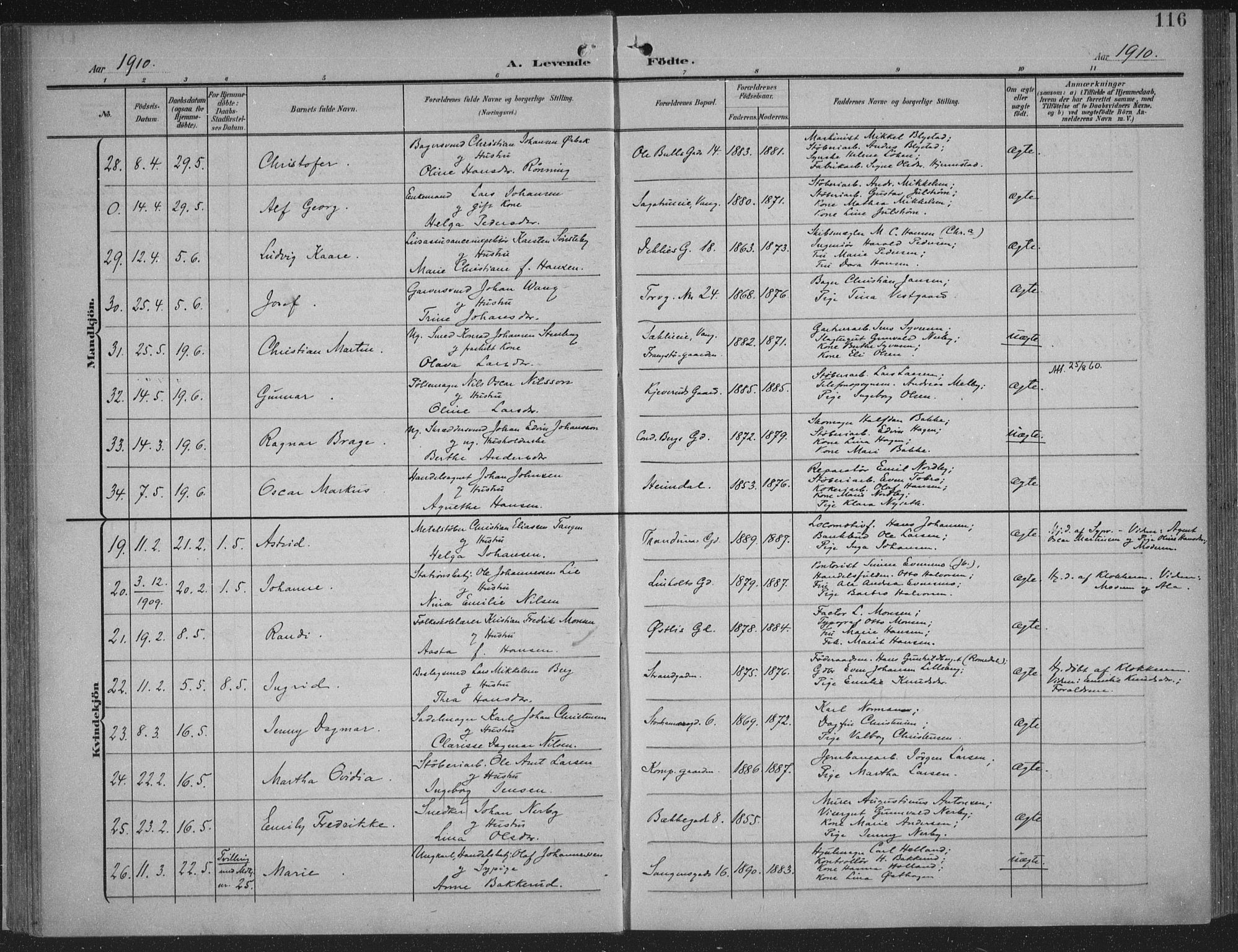 Hamar prestekontor, AV/SAH-DOMPH-002/H/Ha/Haa/L0001: Parish register (official) no. 1, 1900-1914, p. 116