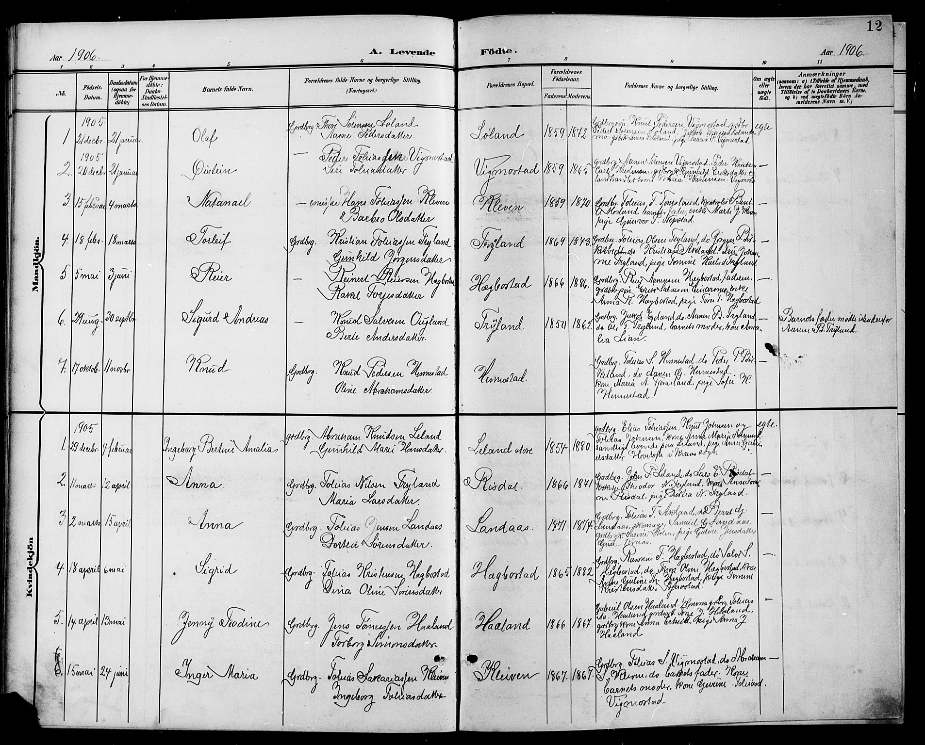 Nord-Audnedal sokneprestkontor, SAK/1111-0032/F/Fb/Fbb/L0004: Parish register (copy) no. B 4, 1901-1917, p. 12