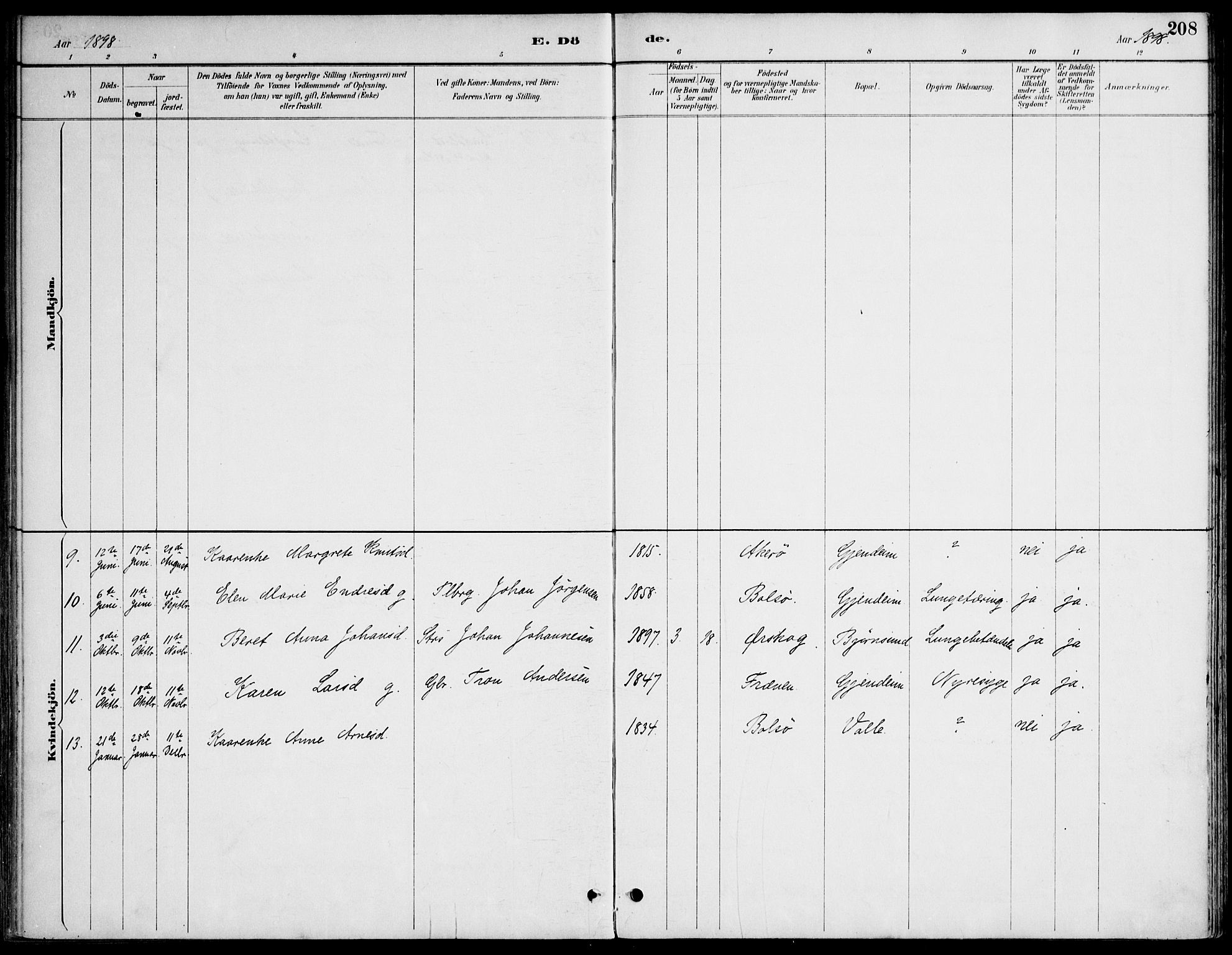 Ministerialprotokoller, klokkerbøker og fødselsregistre - Møre og Romsdal, AV/SAT-A-1454/565/L0750: Parish register (official) no. 565A04, 1887-1905, p. 208