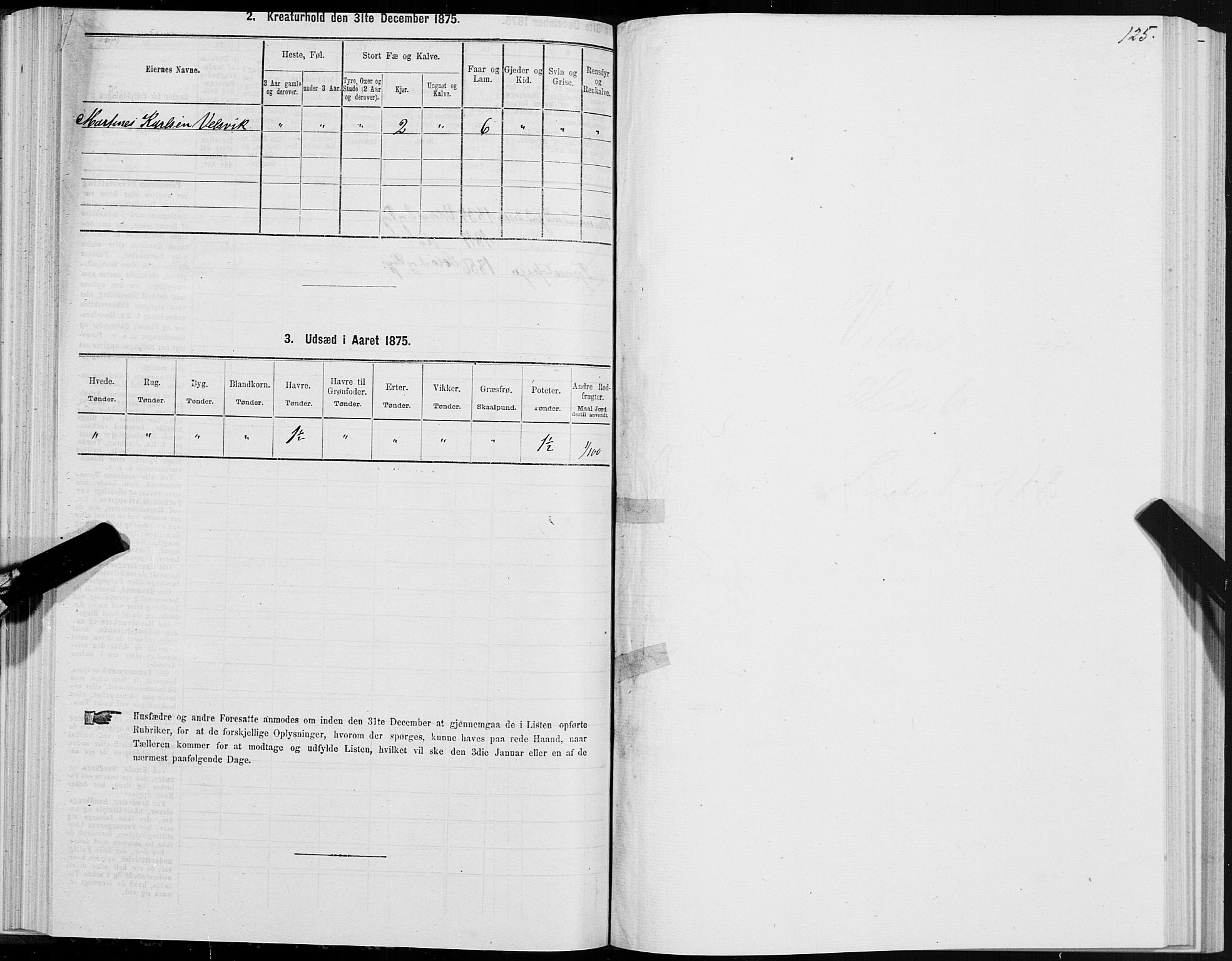 SAT, 1875 census for 1519P Volda, 1875, p. 4125