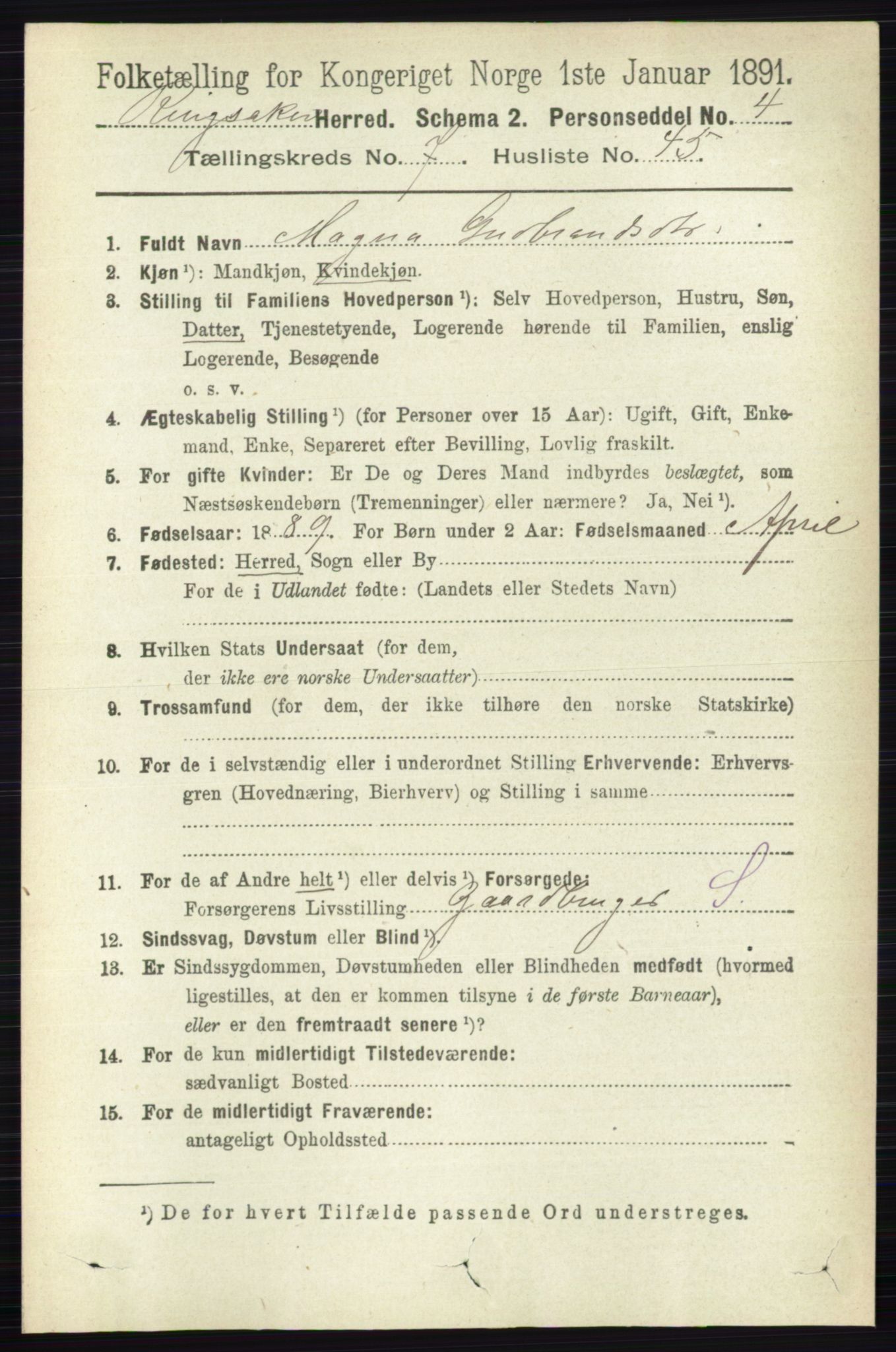 RA, 1891 census for 0412 Ringsaker, 1891, p. 4195