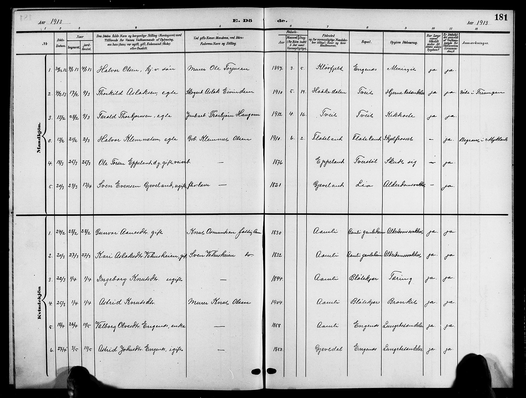 Åmli sokneprestkontor, SAK/1111-0050/F/Fb/Fbc/L0005: Parish register (copy) no. B 5, 1903-1916, p. 181
