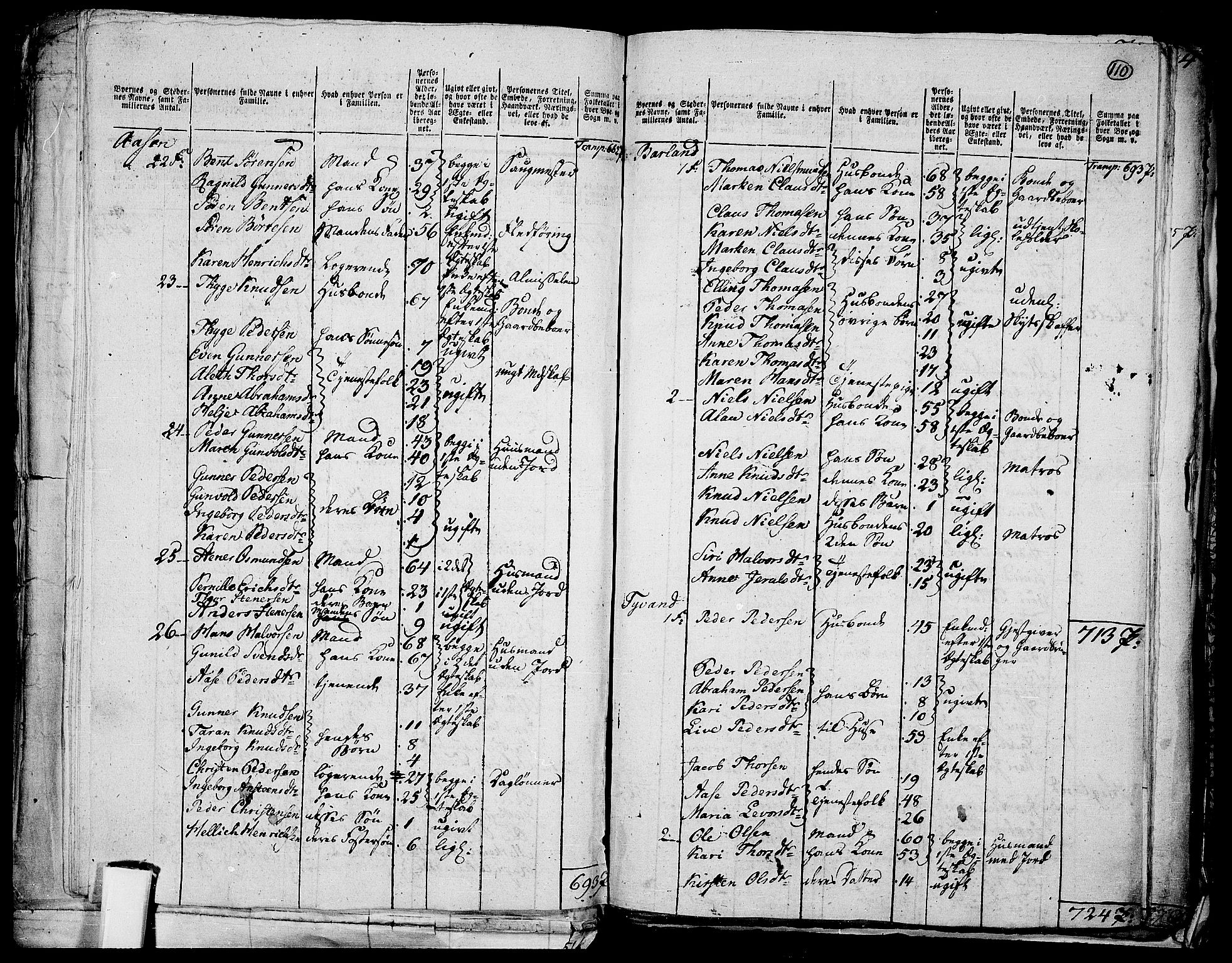 RA, 1801 census for 0801P Kragerø, 1801, p. 109b-110a