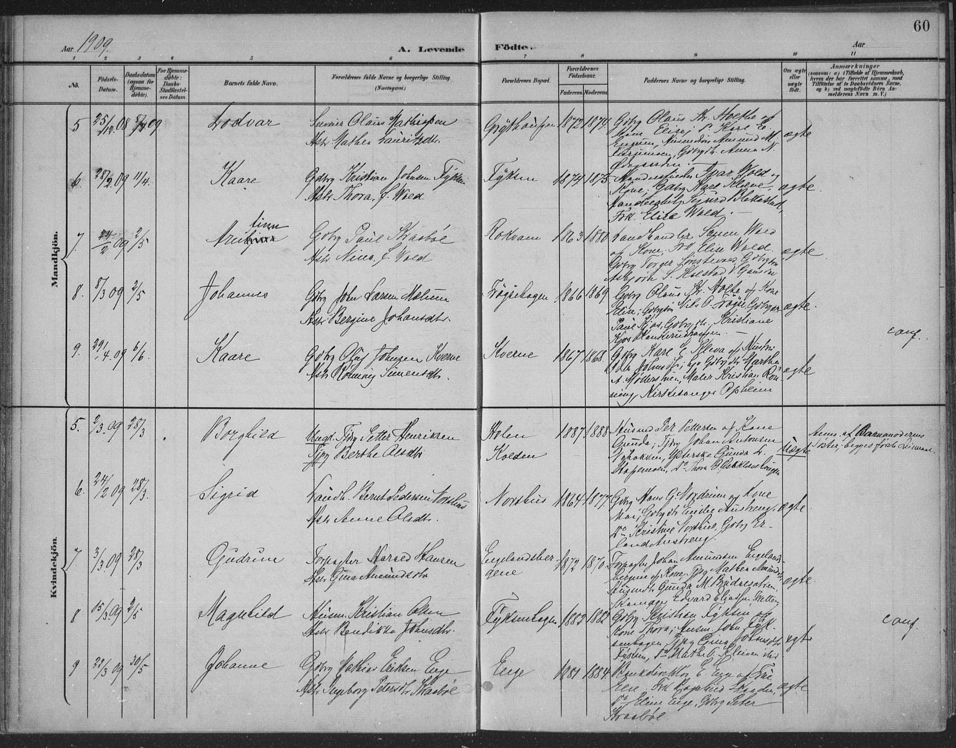 Østre Gausdal prestekontor, SAH/PREST-092/H/Ha/Haa/L0004: Parish register (official) no. 4, 1898-1914, p. 60