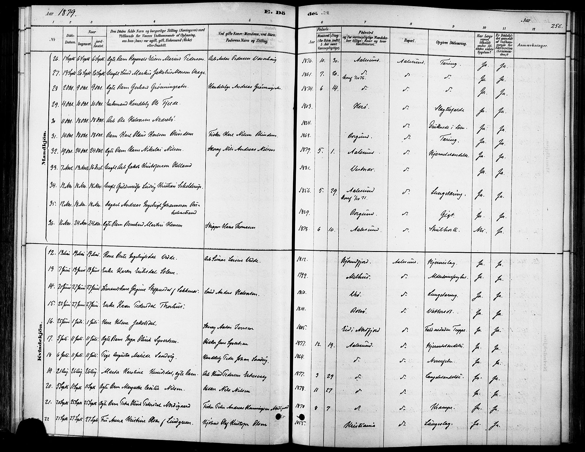 Ministerialprotokoller, klokkerbøker og fødselsregistre - Møre og Romsdal, AV/SAT-A-1454/529/L0454: Parish register (official) no. 529A04, 1878-1885, p. 256