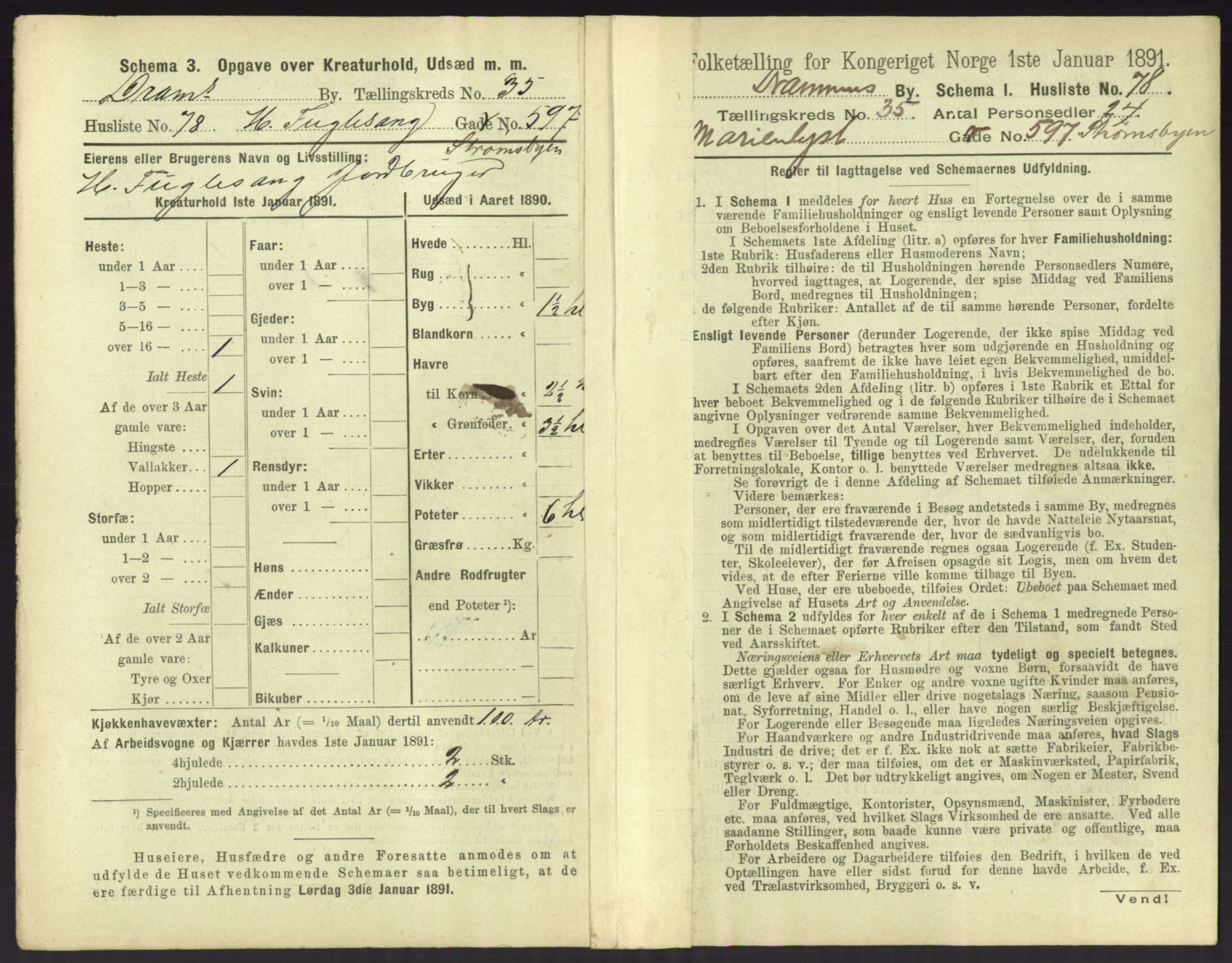 RA, 1891 census for 0602 Drammen, 1891, p. 3263