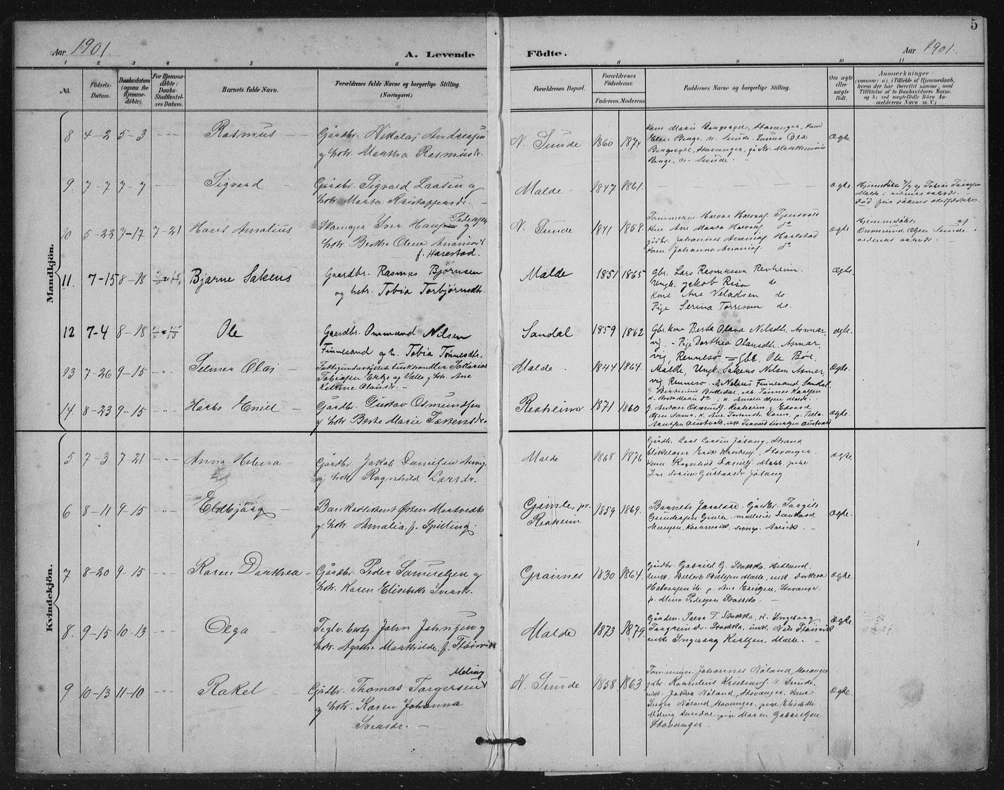 Håland sokneprestkontor, AV/SAST-A-101802/002/B/L0001: Parish register (official) no. A 13, 1901-1923, p. 5