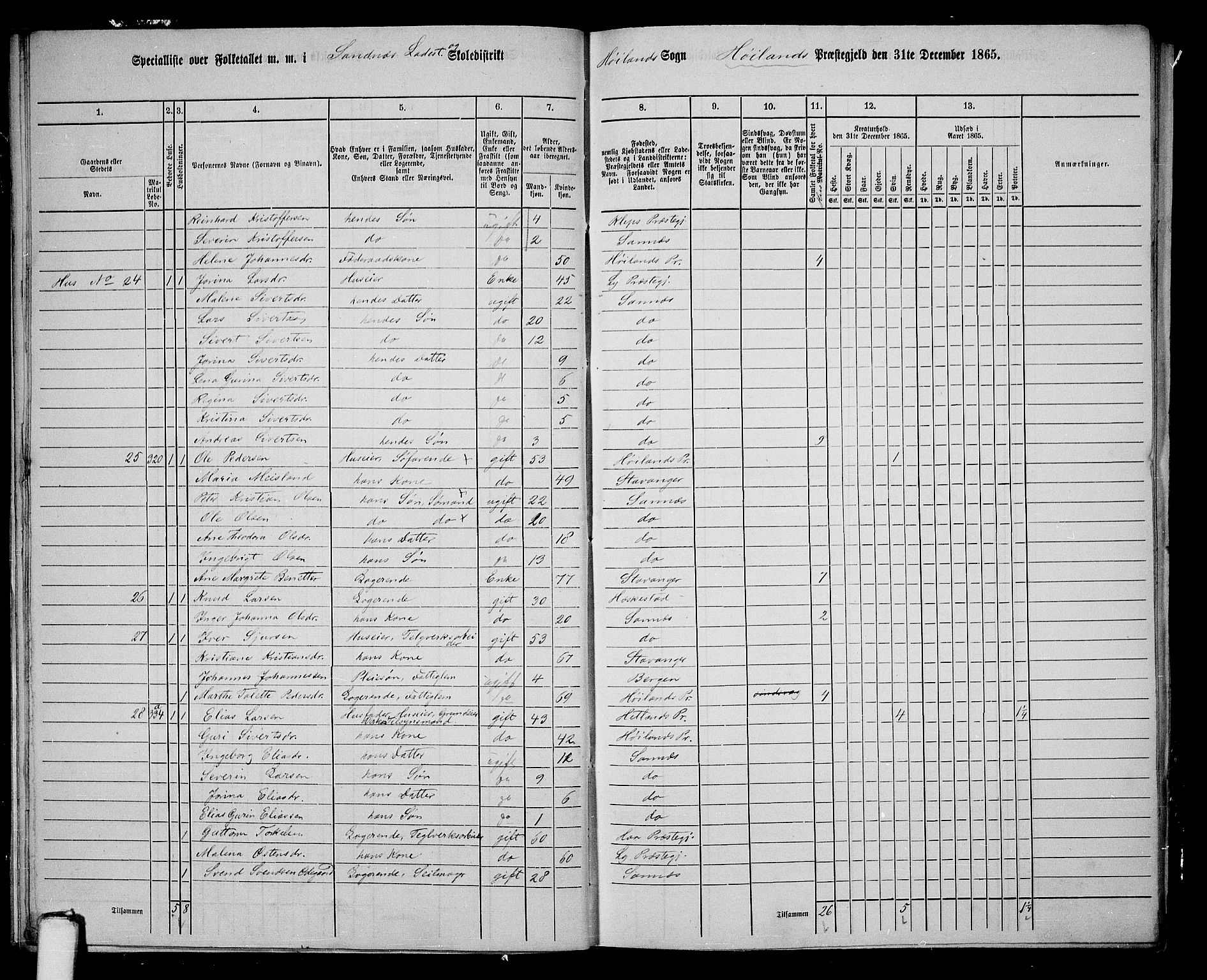 RA, 1865 census for Høyland, 1865, p. 156