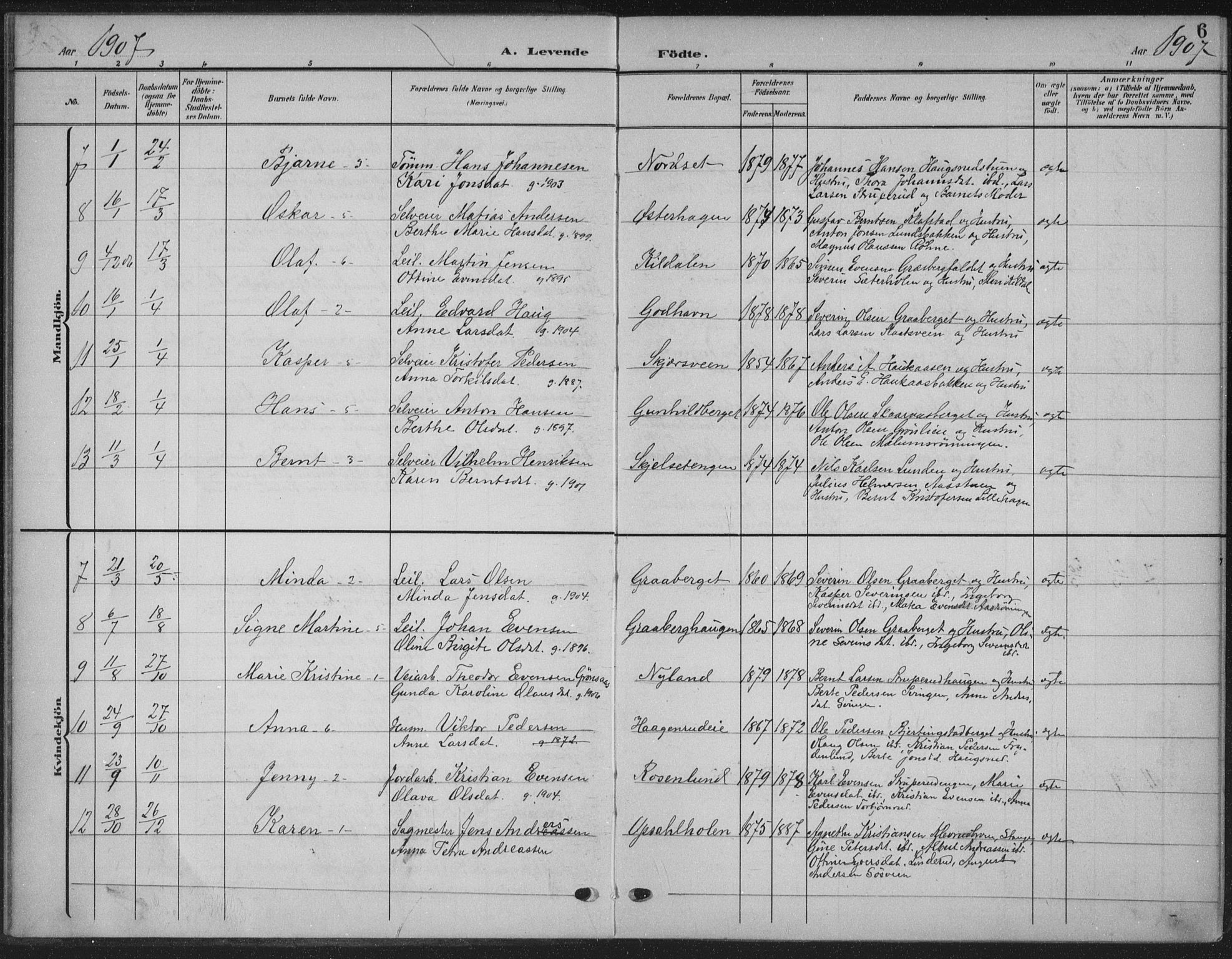 Romedal prestekontor, AV/SAH-PREST-004/K/L0009: Parish register (official) no. 9, 1906-1929, p. 6