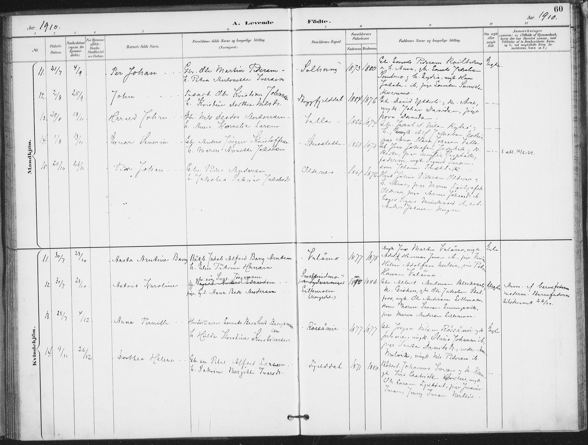 Ministerialprotokoller, klokkerbøker og fødselsregistre - Nordland, AV/SAT-A-1459/826/L0380: Parish register (official) no. 826A03, 1891-1911, p. 60