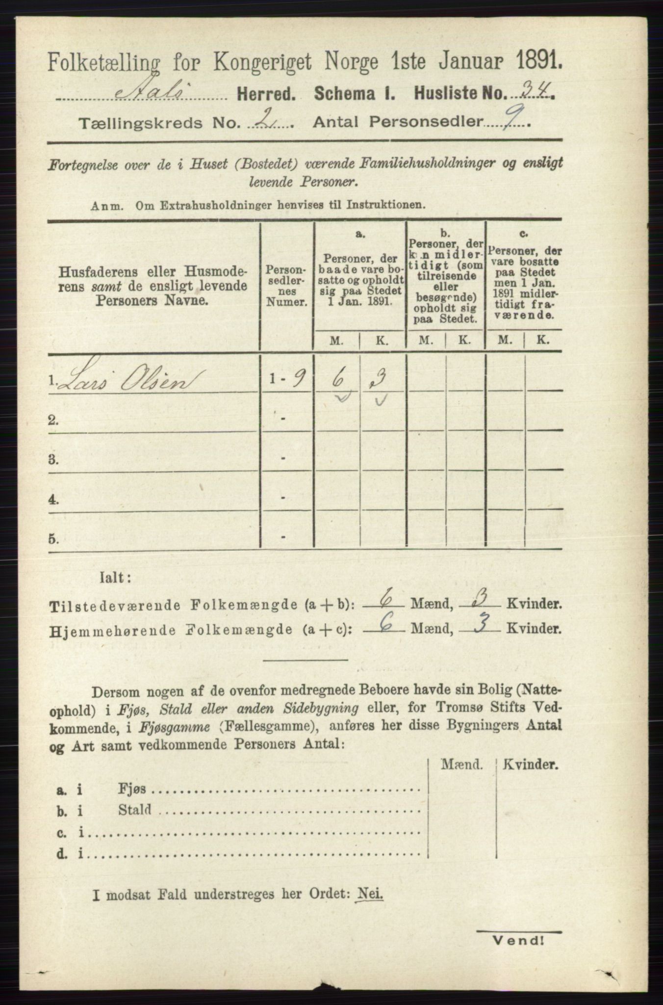 RA, 1891 census for 0619 Ål, 1891, p. 365