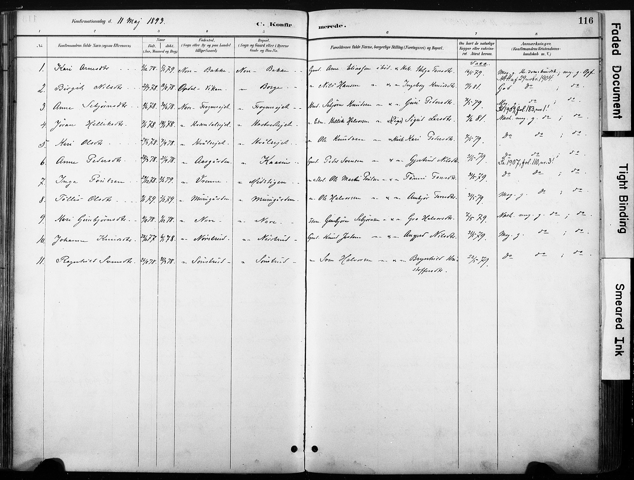Nore kirkebøker, SAKO/A-238/F/Fb/L0002: Parish register (official) no. II 2, 1886-1906, p. 116