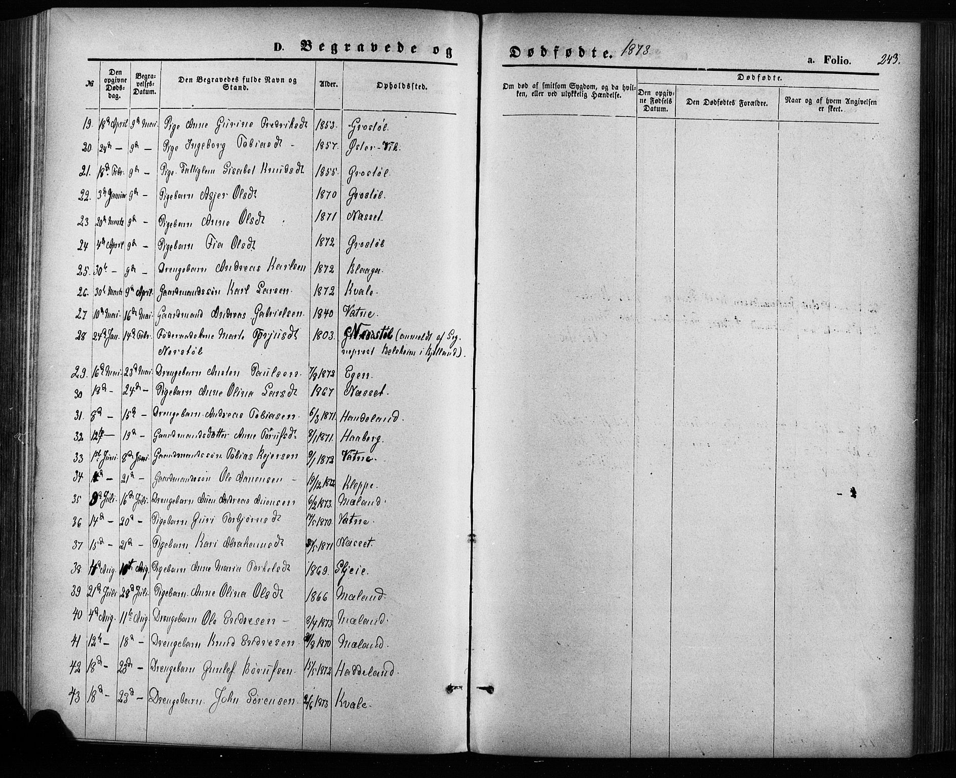 Hægebostad sokneprestkontor, SAK/1111-0024/F/Fa/Fab/L0003: Parish register (official) no. A 3, 1872-1886, p. 243