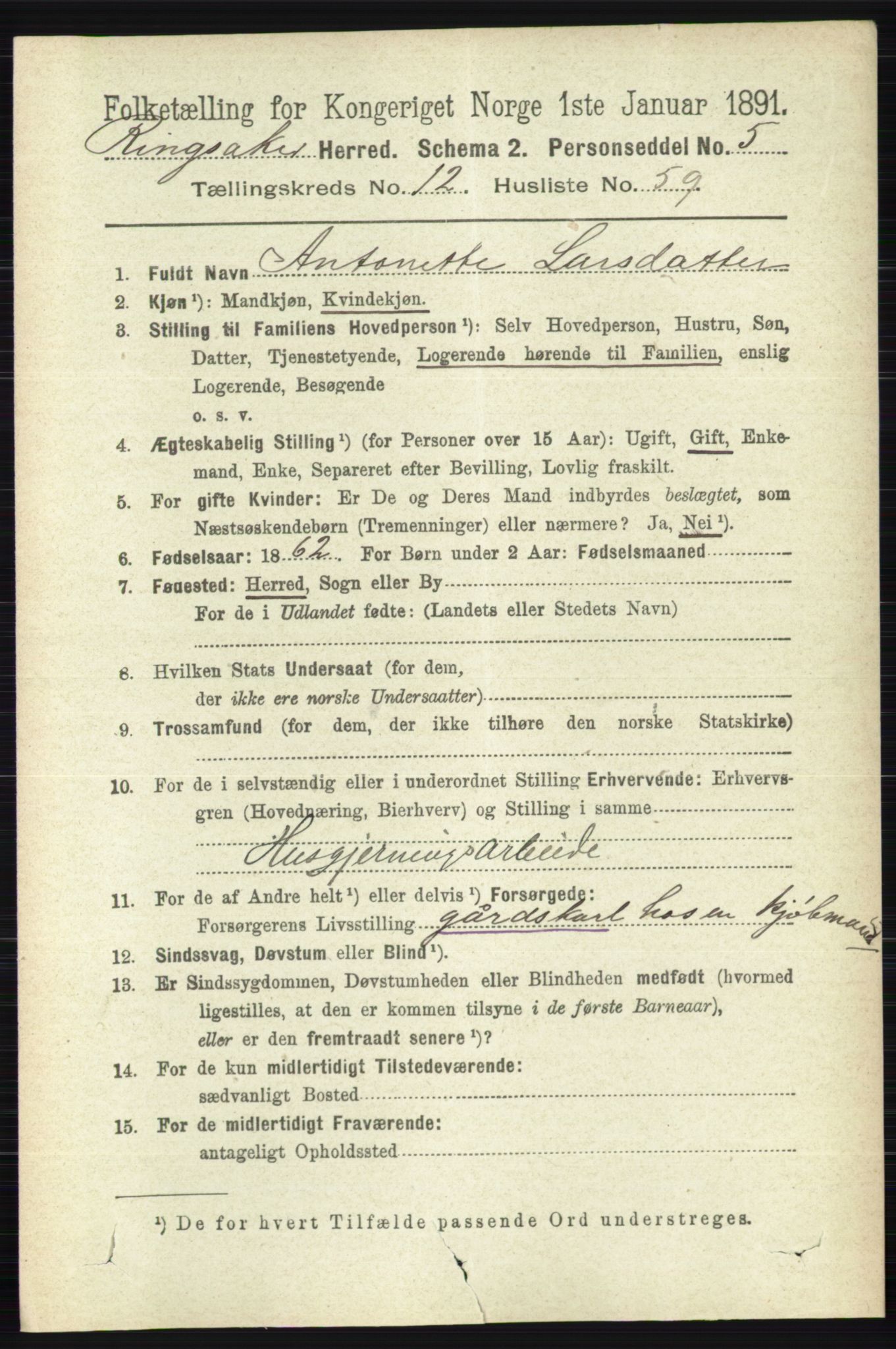 RA, 1891 census for 0412 Ringsaker, 1891, p. 7094