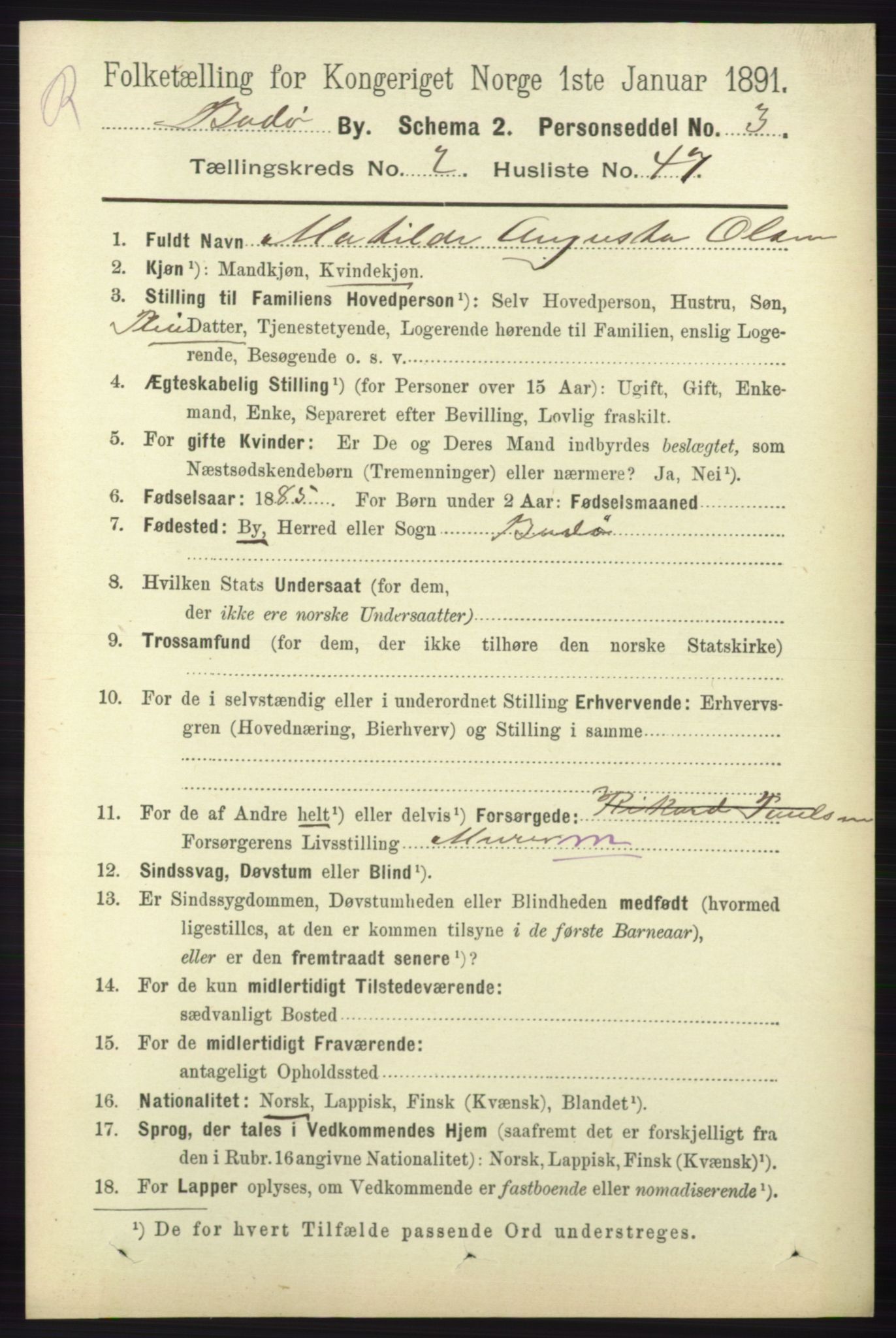 RA, 1891 census for 1804 Bodø, 1891, p. 1597