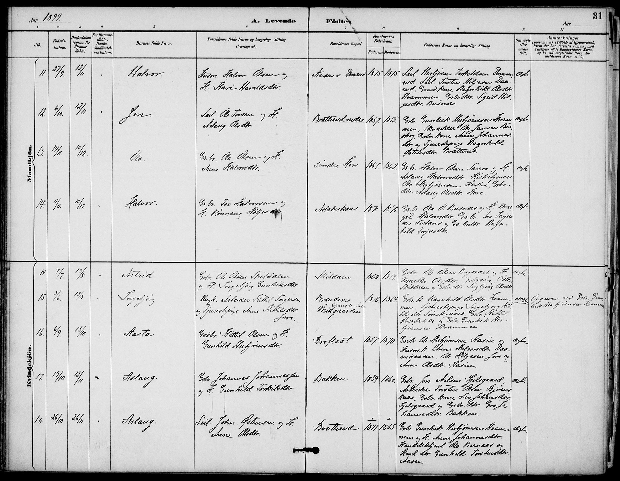 Gransherad kirkebøker, AV/SAKO-A-267/F/Fb/L0005: Parish register (official) no. II 5, 1887-1916, p. 31