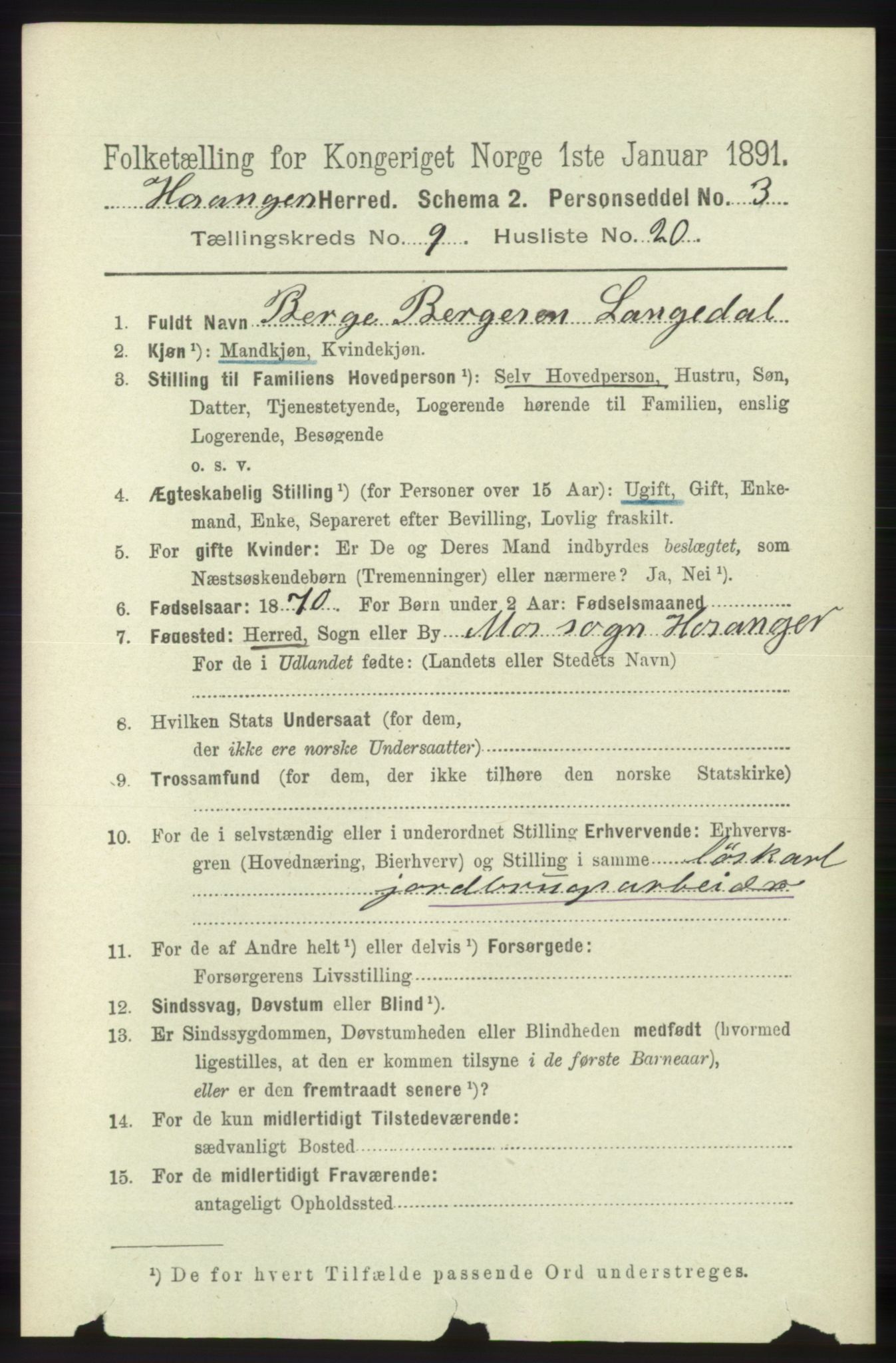 RA, 1891 census for 1253 Hosanger, 1891, p. 3411