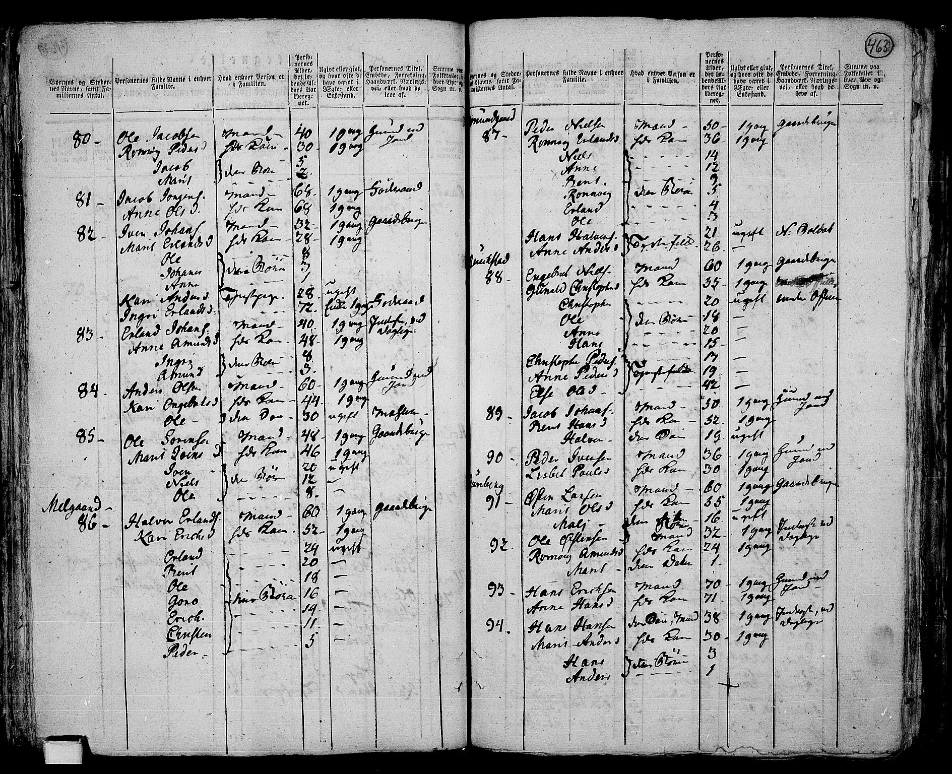 RA, 1801 census for 0518P Fron, 1801, p. 462b-463a