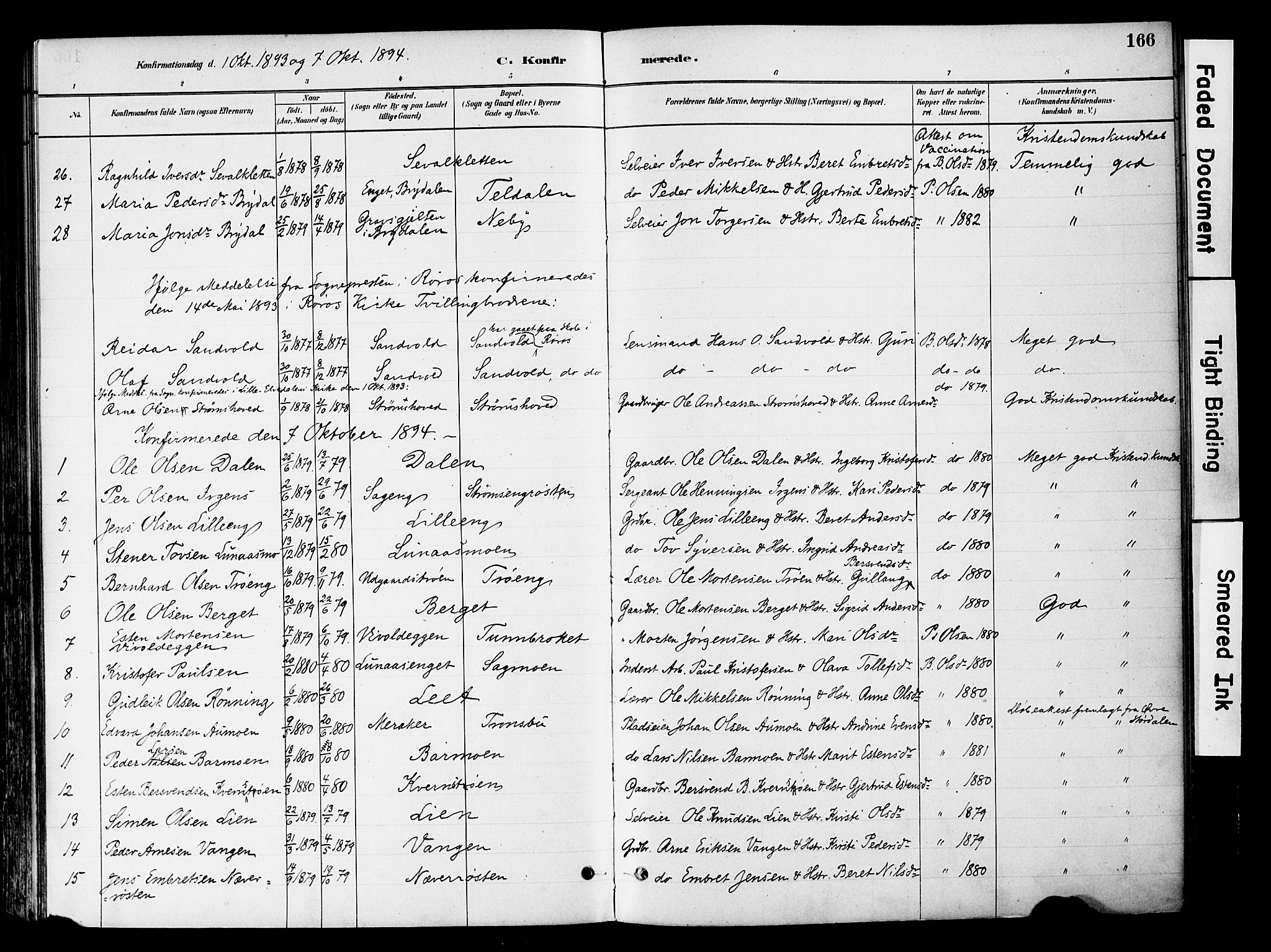 Tynset prestekontor, SAH/PREST-058/H/Ha/Haa/L0022: Parish register (official) no. 22, 1880-1899, p. 166