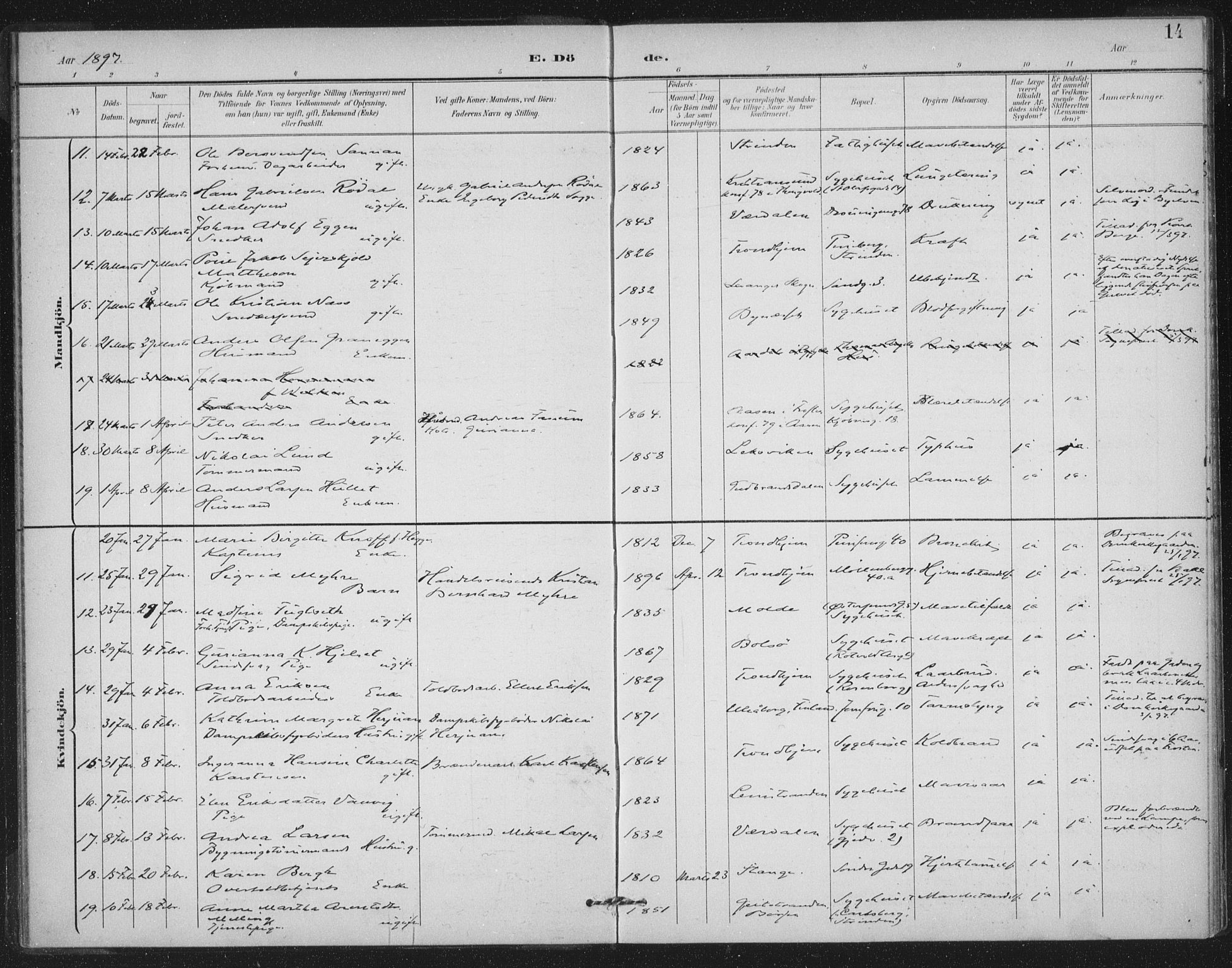 Ministerialprotokoller, klokkerbøker og fødselsregistre - Sør-Trøndelag, AV/SAT-A-1456/602/L0123: Parish register (official) no. 602A21, 1895-1910, p. 14